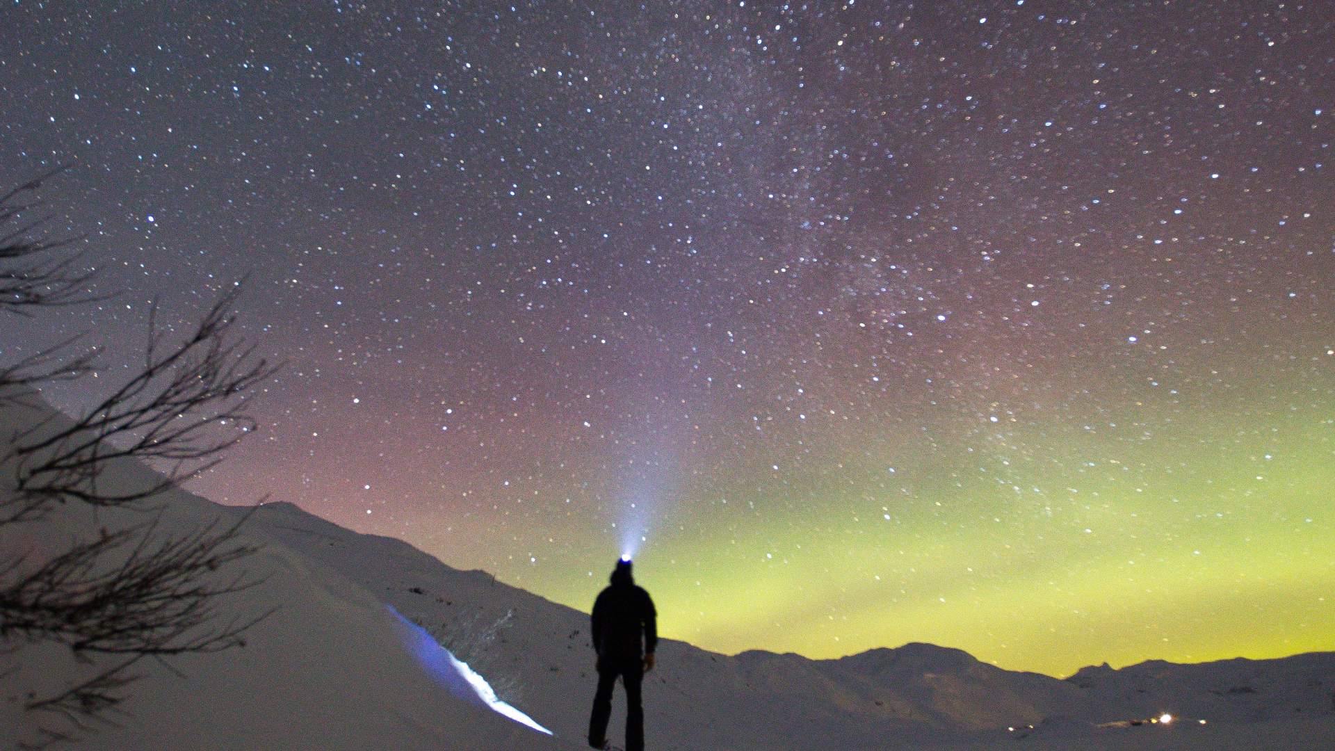 Kongevegen vinternatt