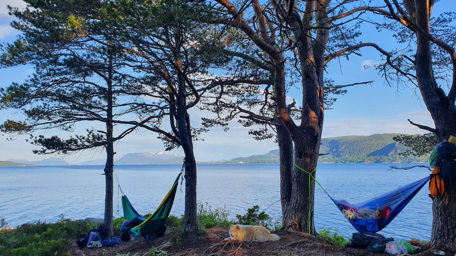 Avslapning i hengekøyer