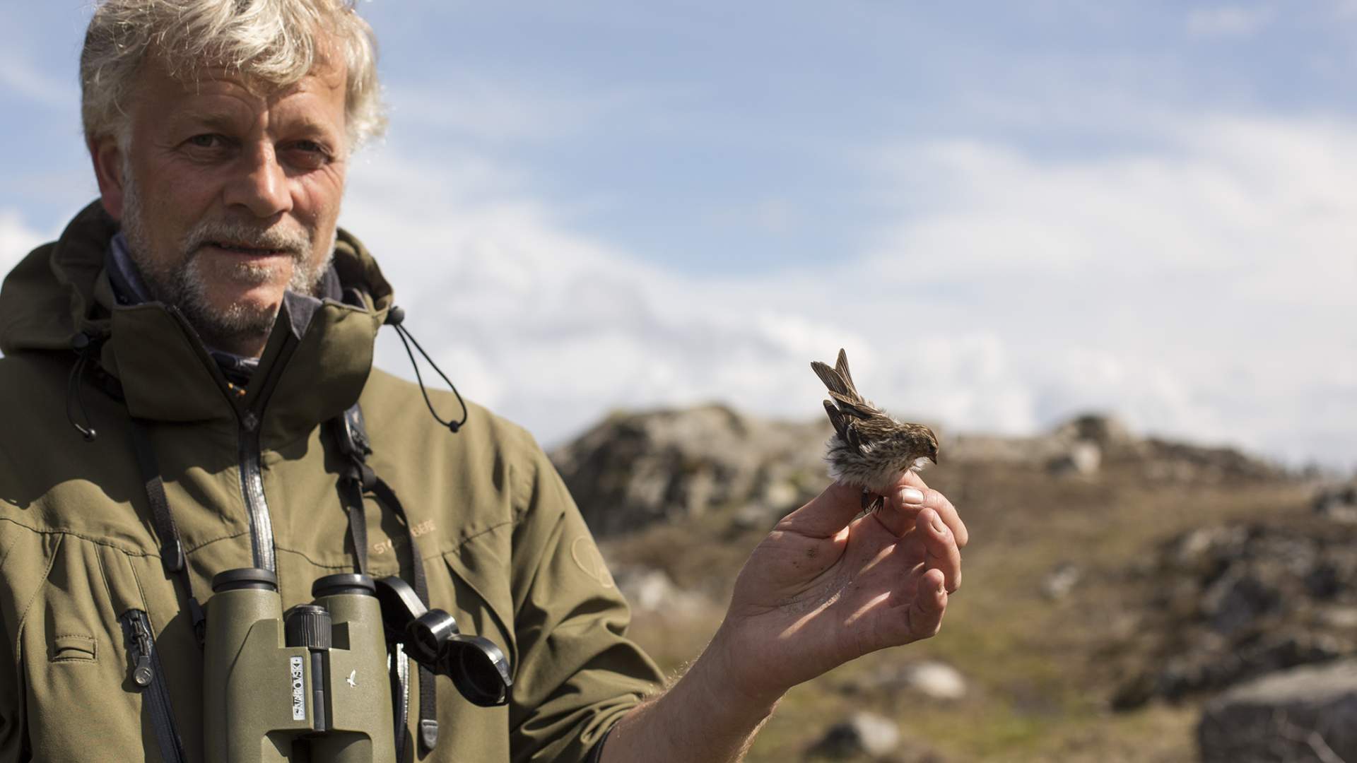Fuglekikking på Utsira.