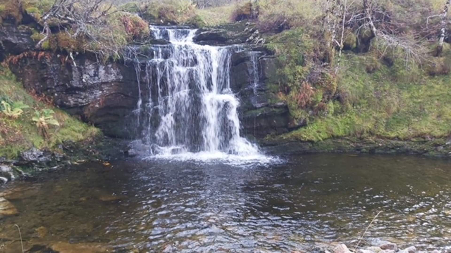 Yndestad gard | Camping