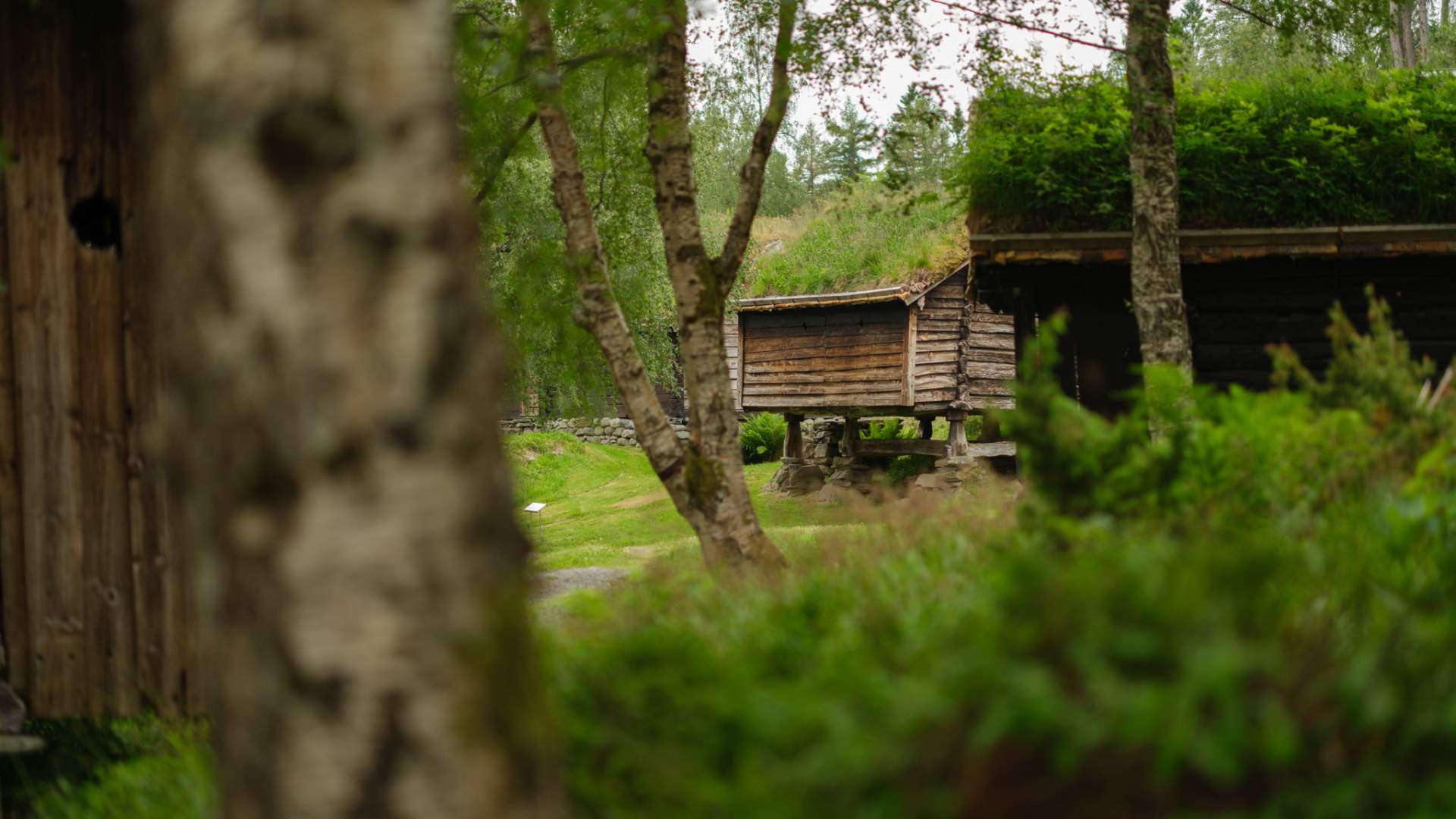 Stabbur på tunet på Sunnmøre Museum