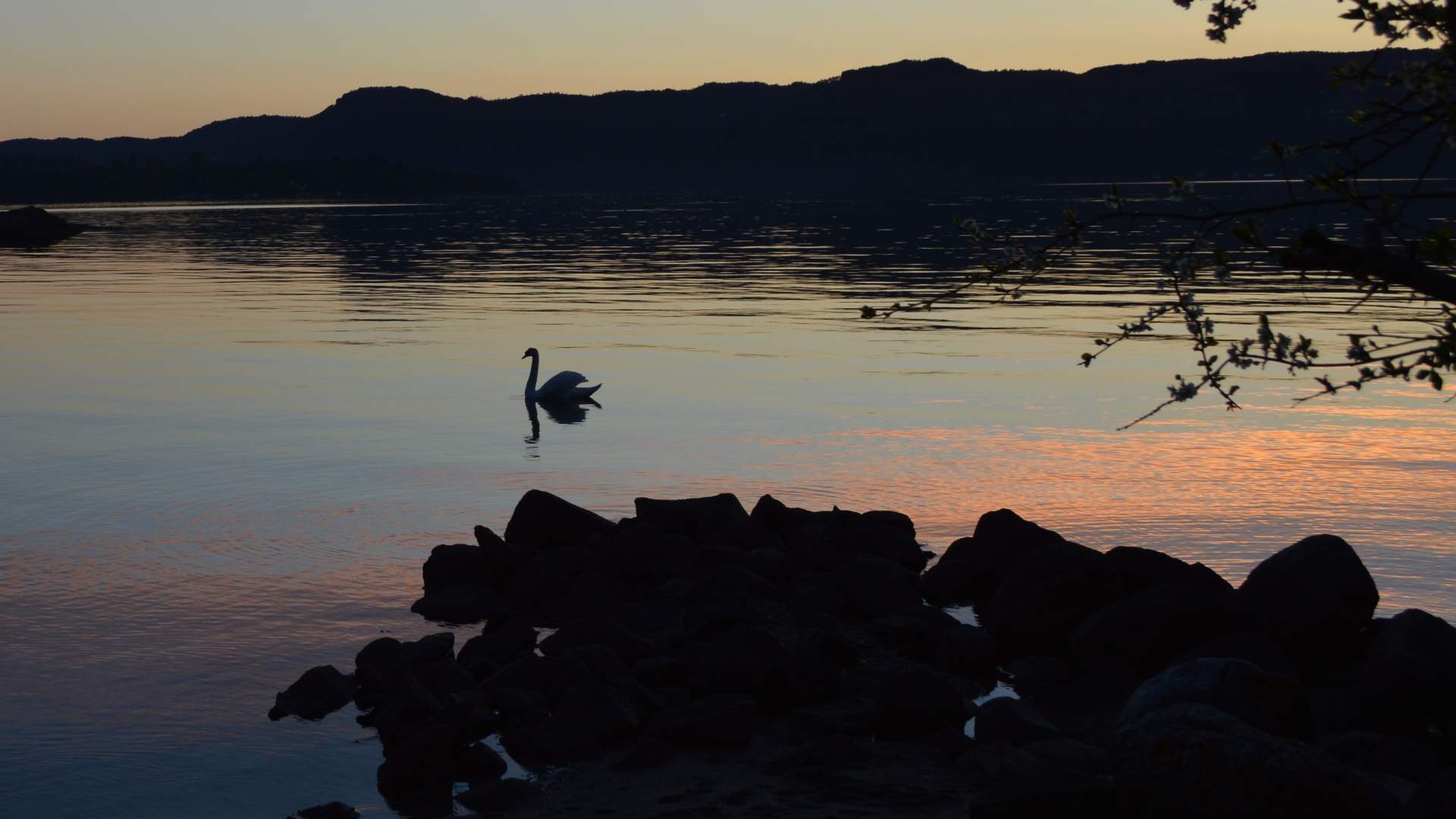 Kleppa Gard und Glamping in Hjelmeland