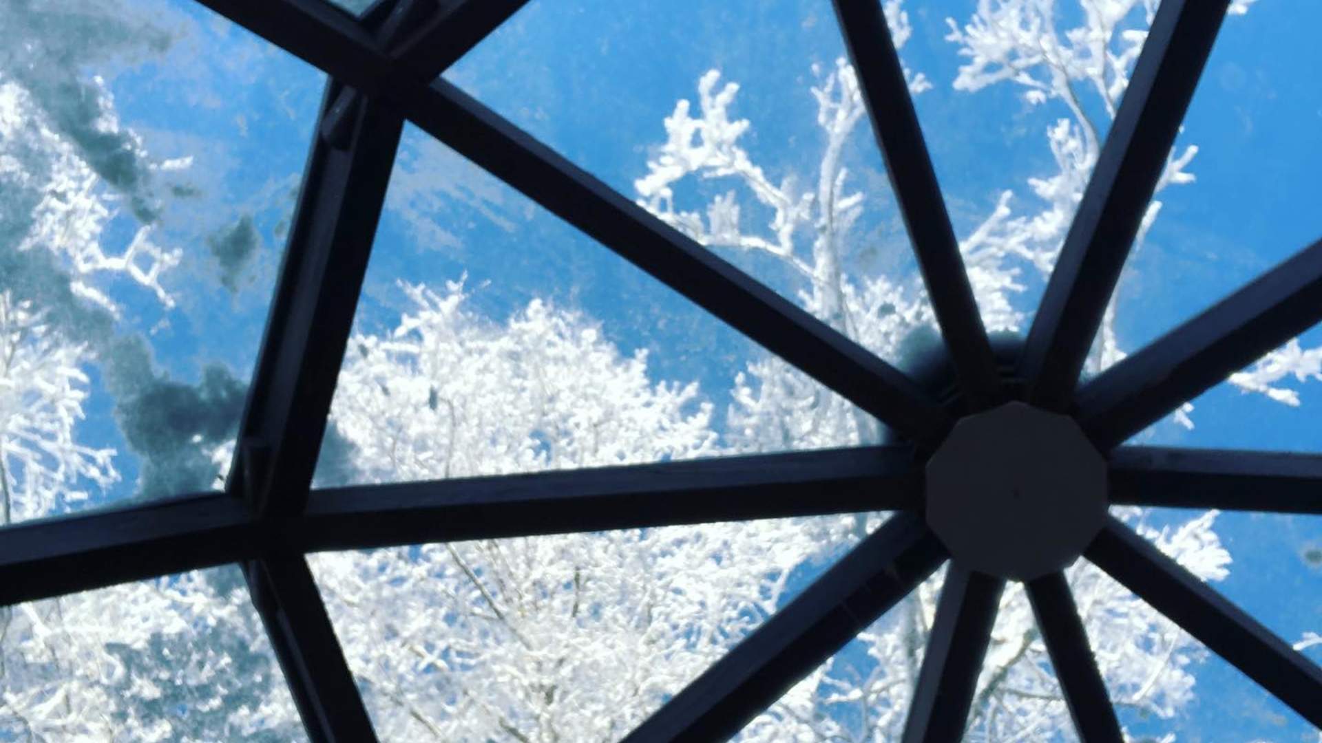 Naturlig utsikt fra sengen