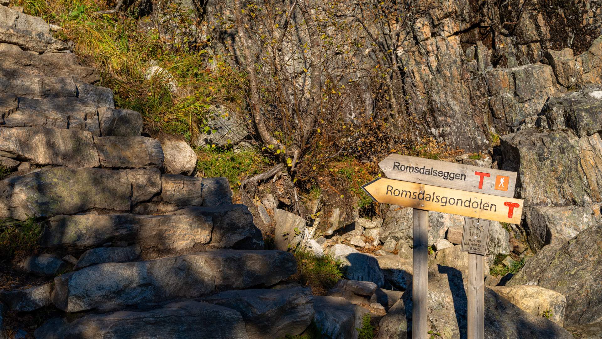 Hike Nesaksla (708 masl)