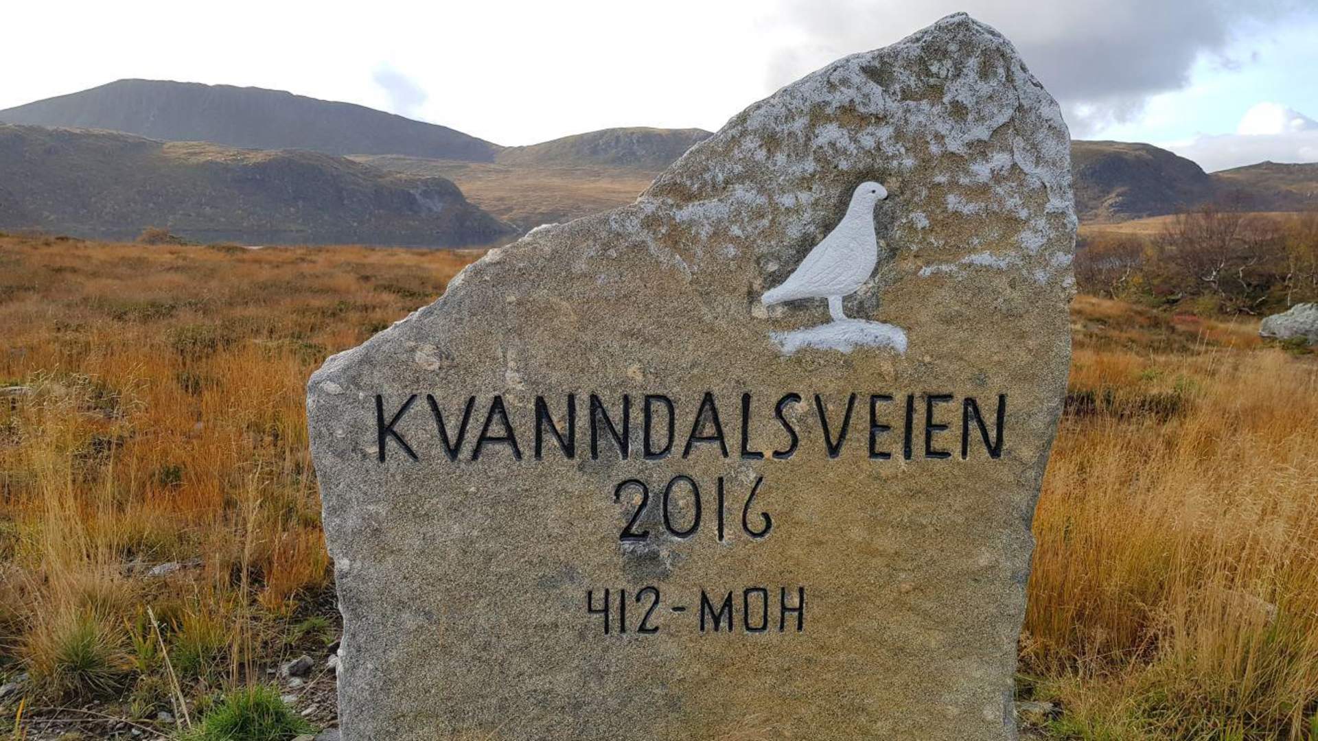 Kvanndalsveien
