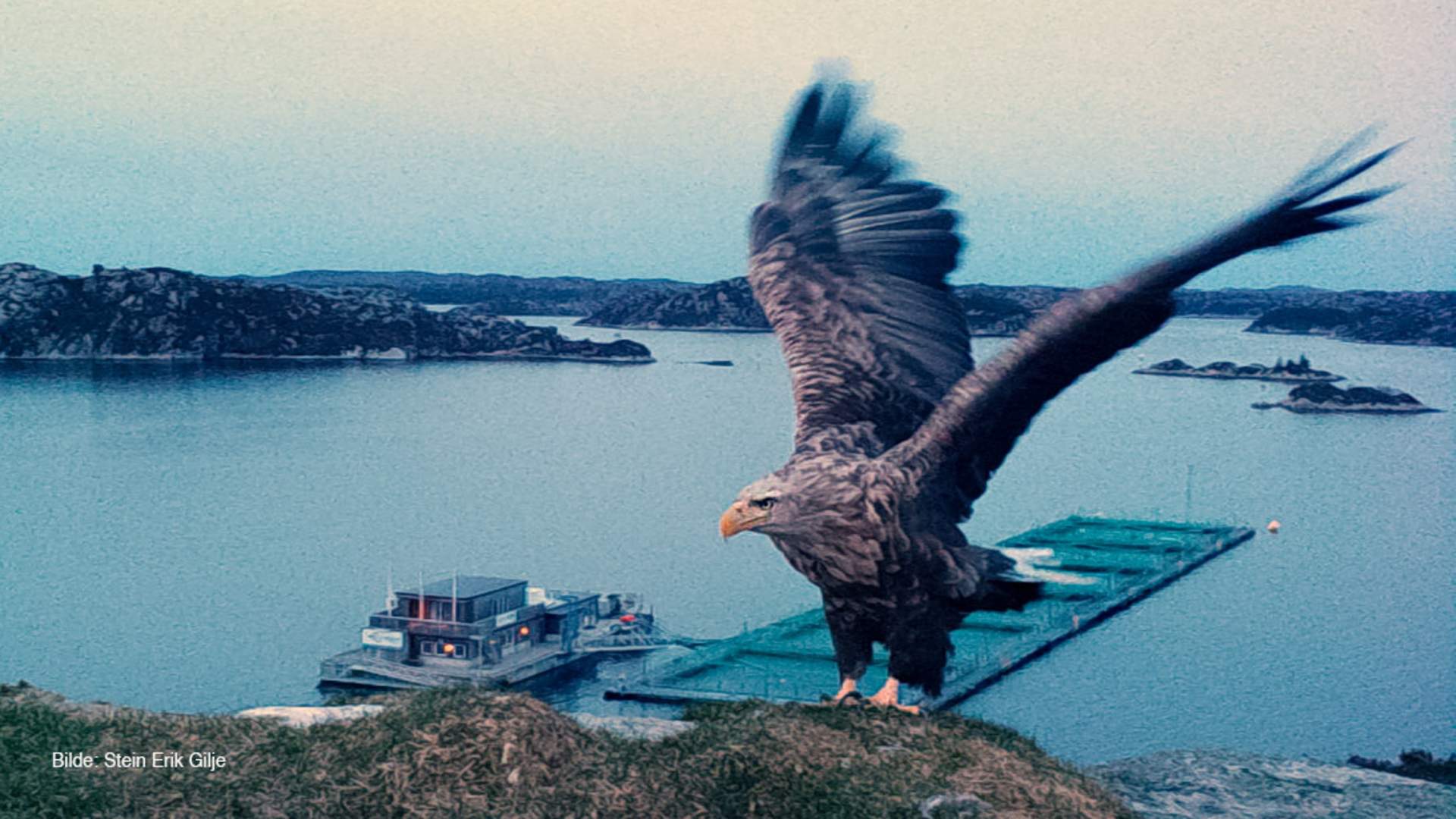 Engesund fiskeoppdrett visningssenter