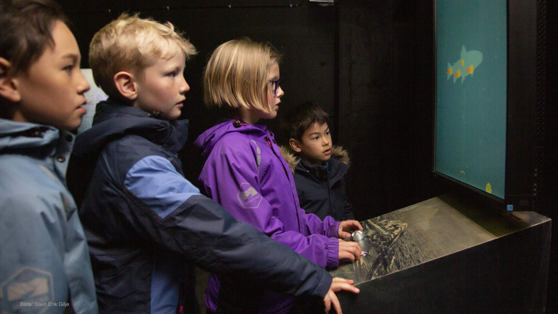 Engesund fiskeoppdrett visningssenter