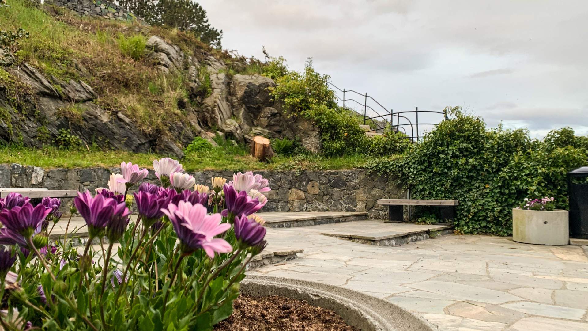Rasteplass på Storhaugen