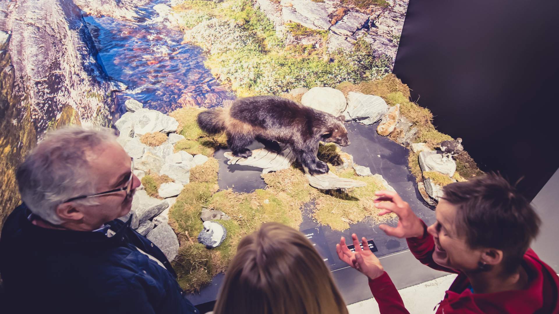 Norsk Fjordsenter - Besøkssenter for Geirgangerfjorden Verdsarv