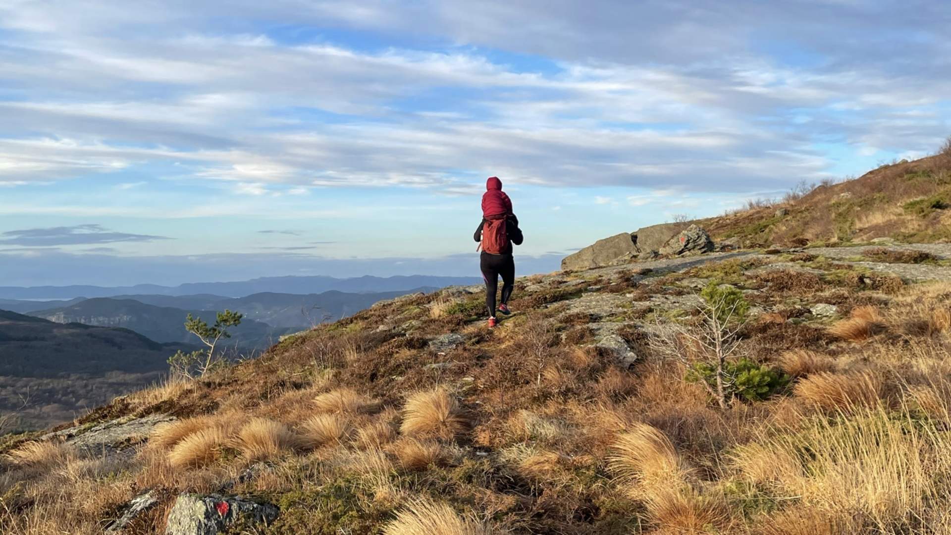 Ingvaldstadfjellet - hike