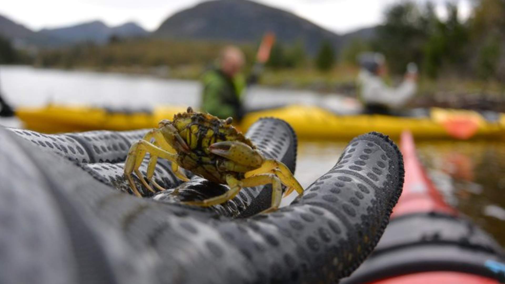 Experience the fjords around Jørpeland from Stavanger with Fjord Expedition