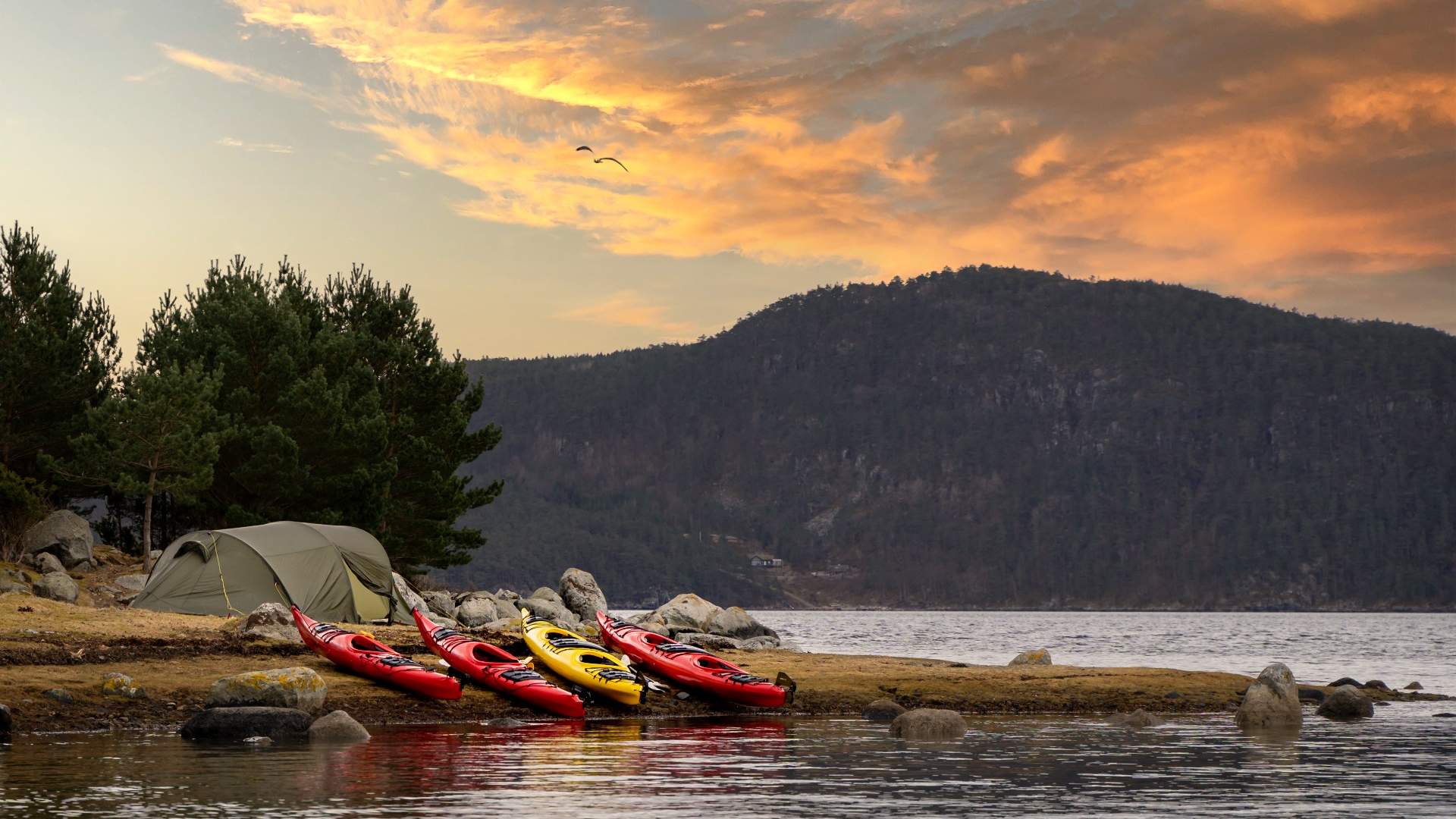 Experience the fjords around Jørpeland from Stavanger with Fjord Expedition
