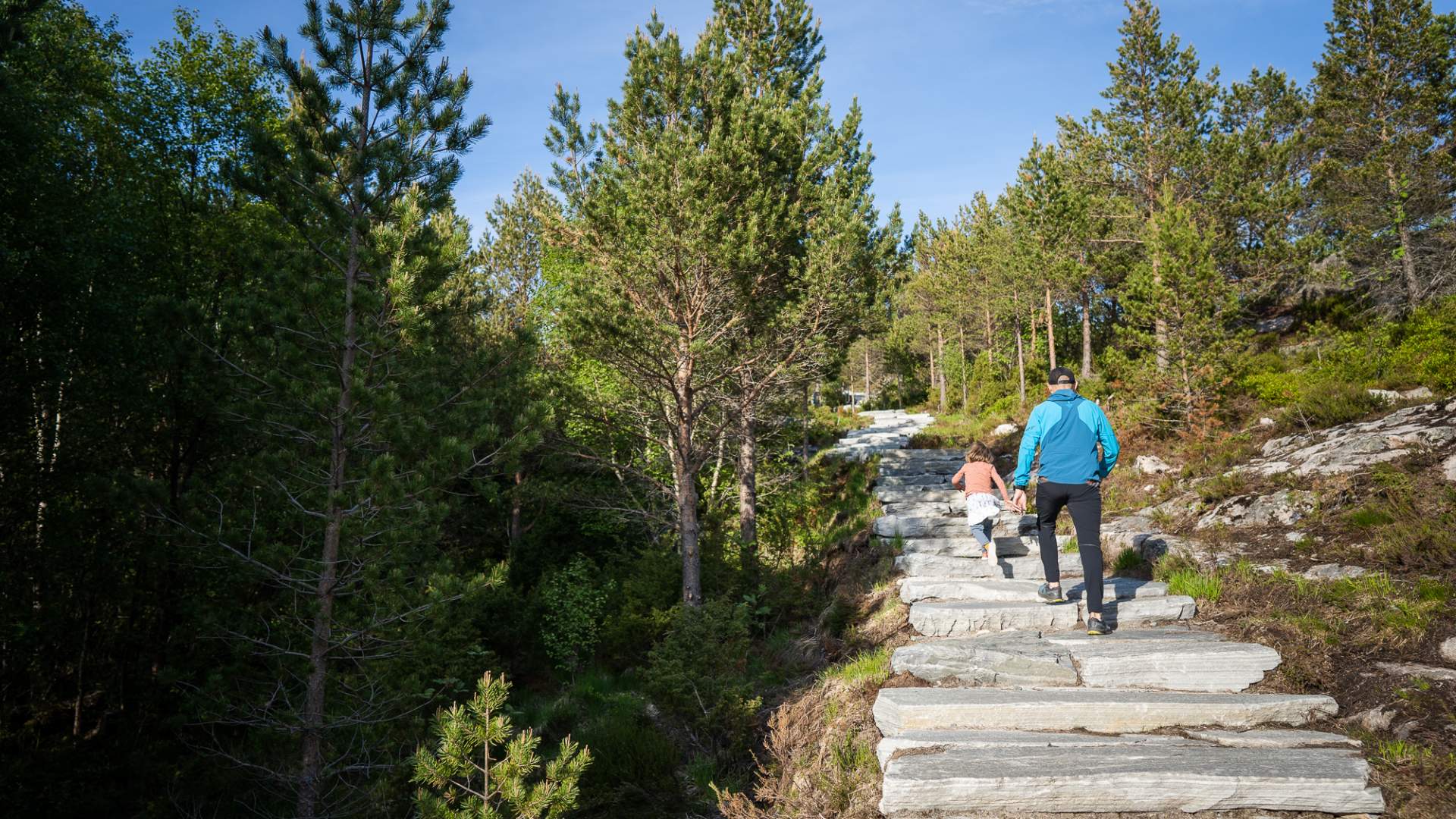 Kvernberget hike