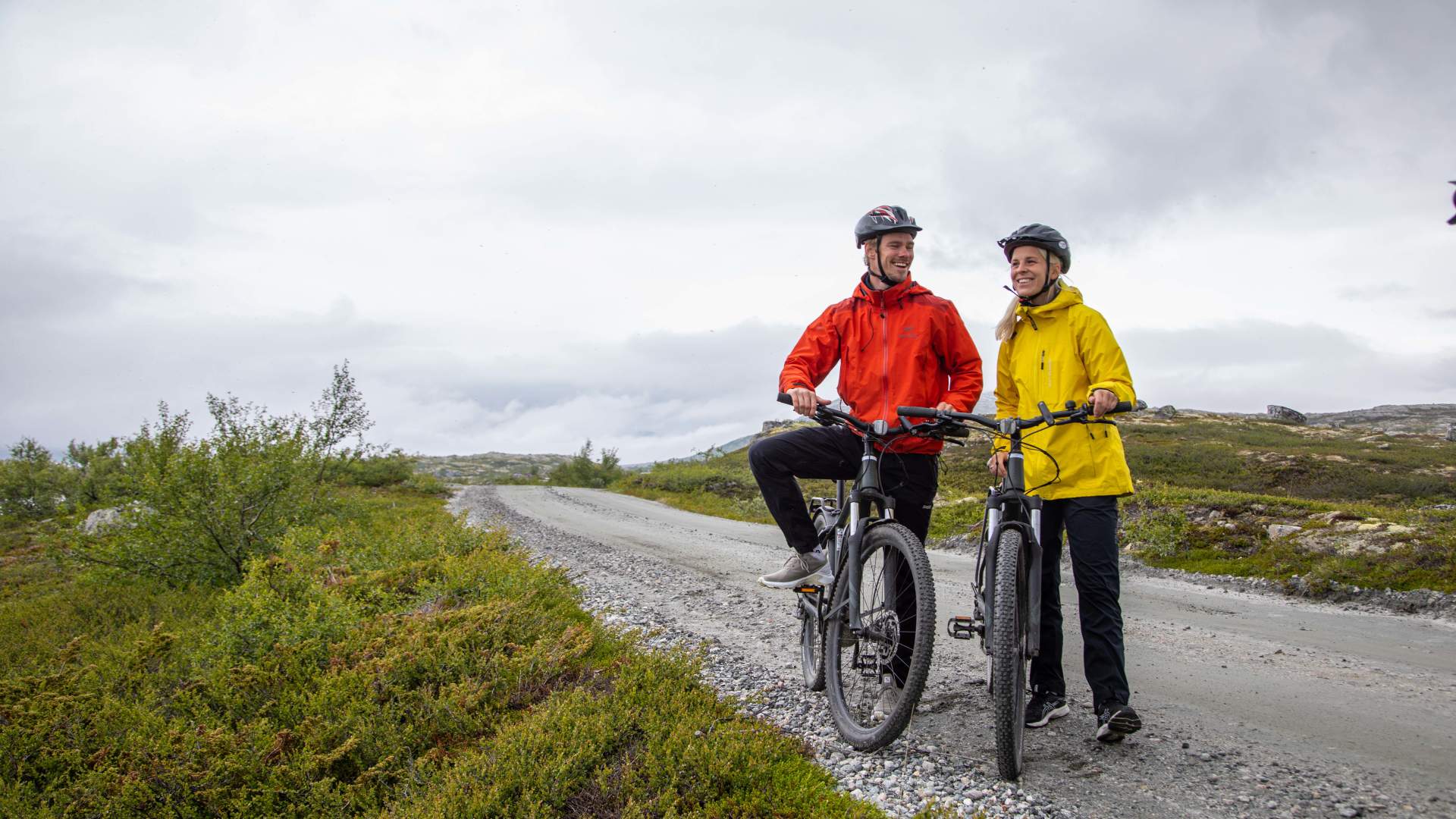2-day electric bike tour across Aursjøvegen