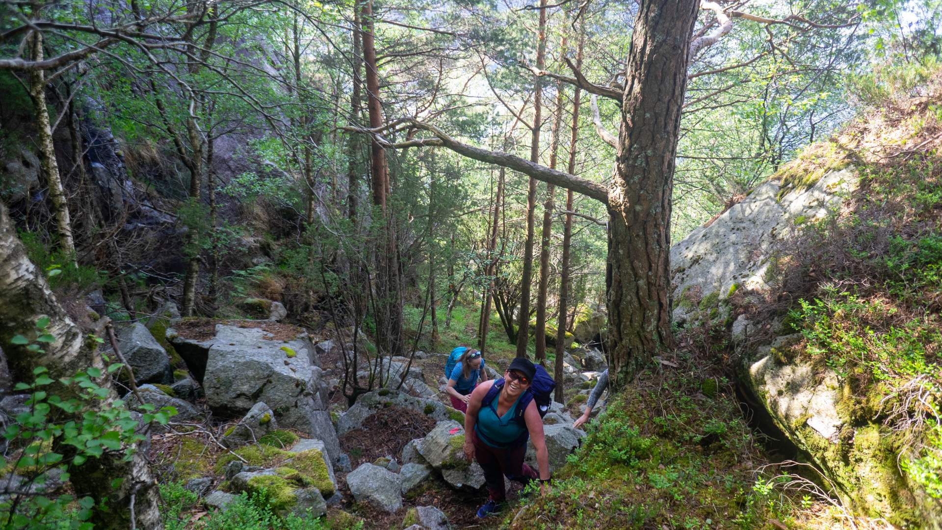 Lysefjord Panorama Trail
