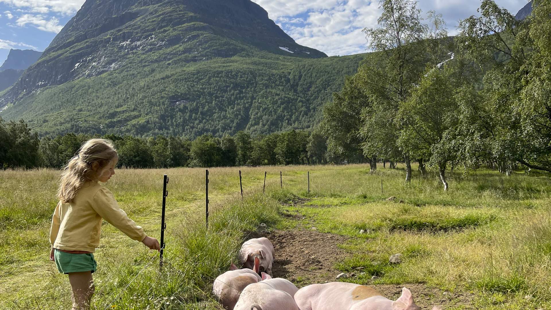 Renndølsetra - Summer pasture farm hotel in Innerdalen
