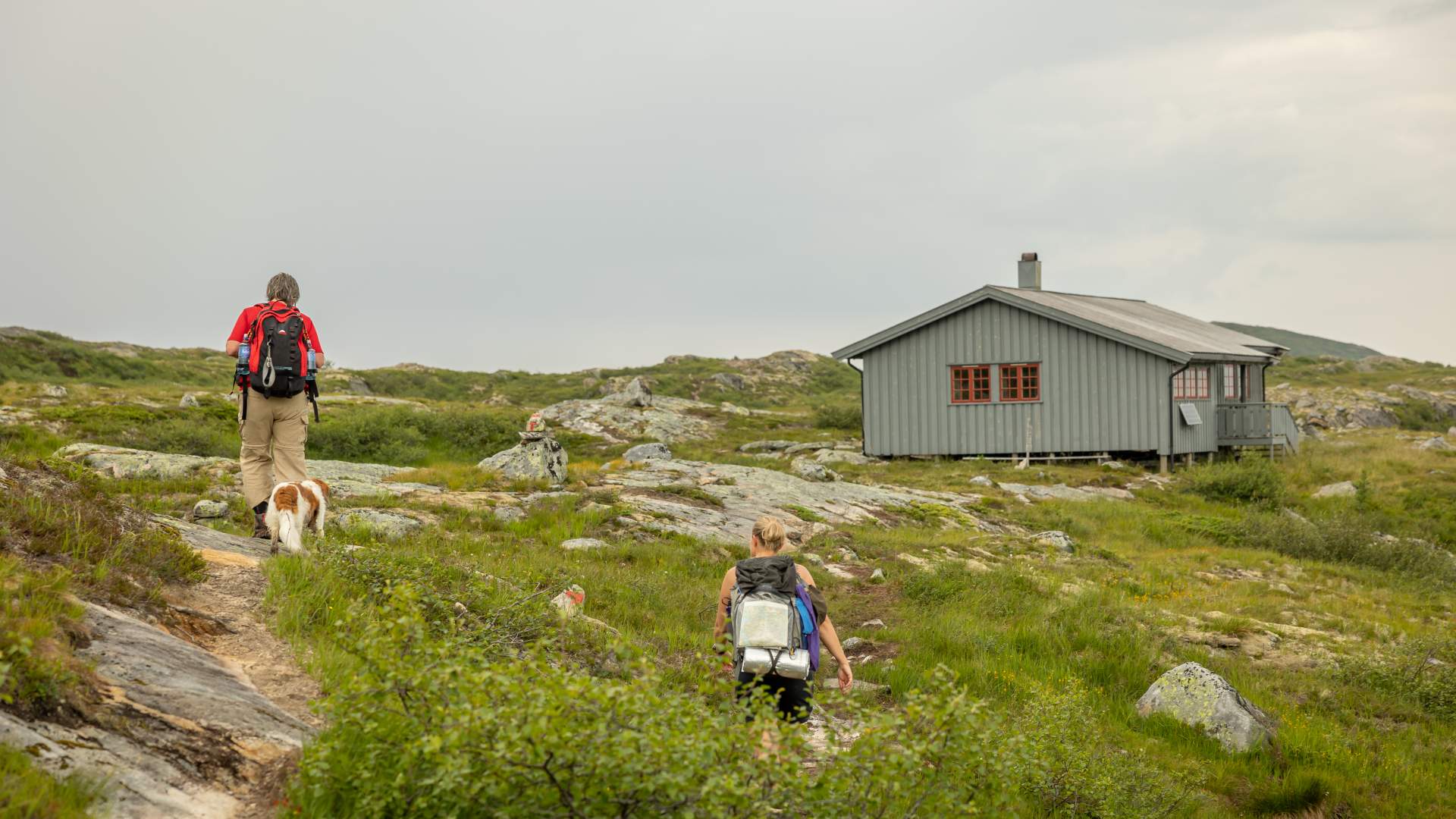 Solrunden: 3-dagers fjelltur fra Todalssetra via Sollia og Storfiskhytta