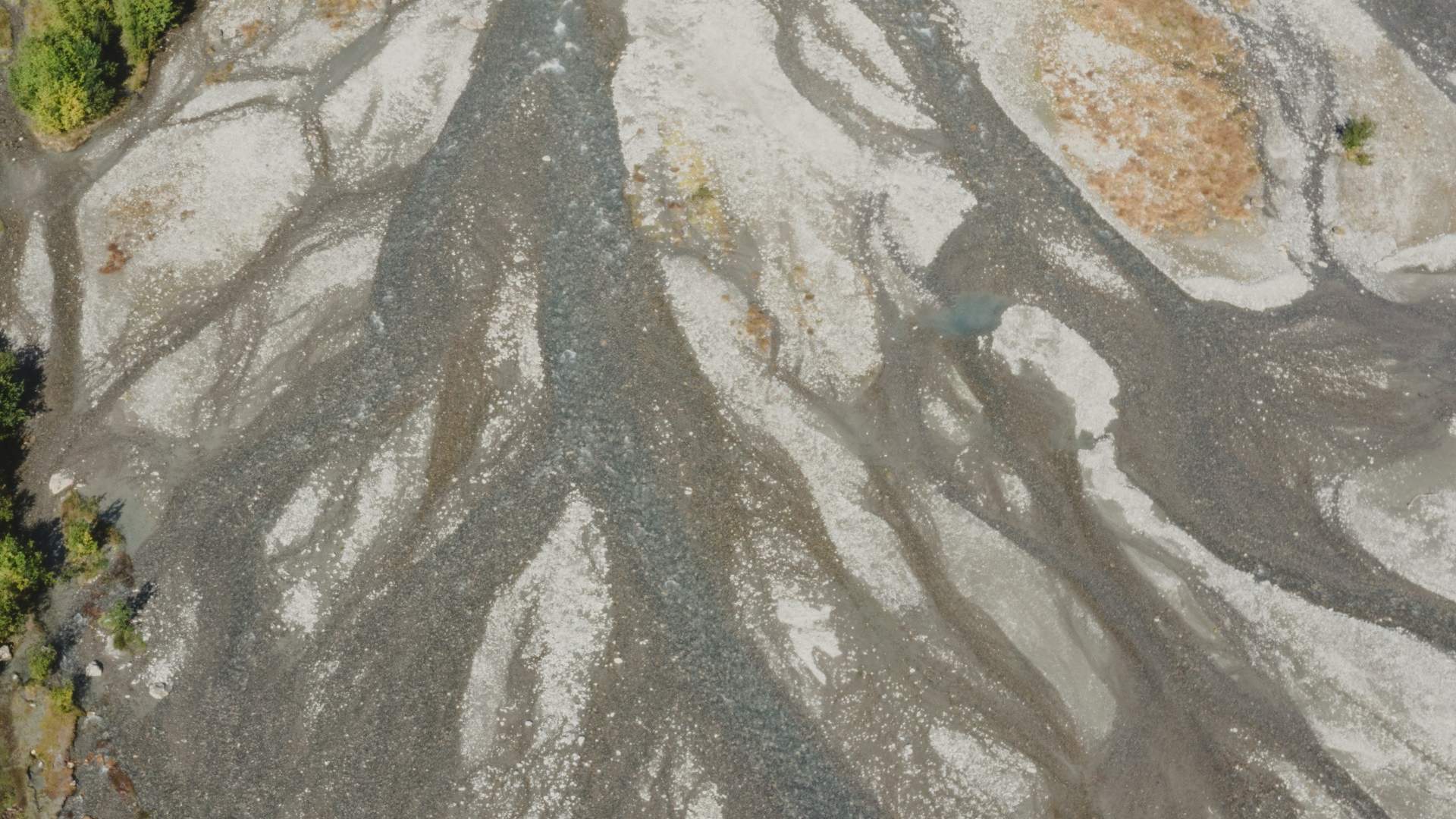 Nature guiding - Norsk Bremuseum