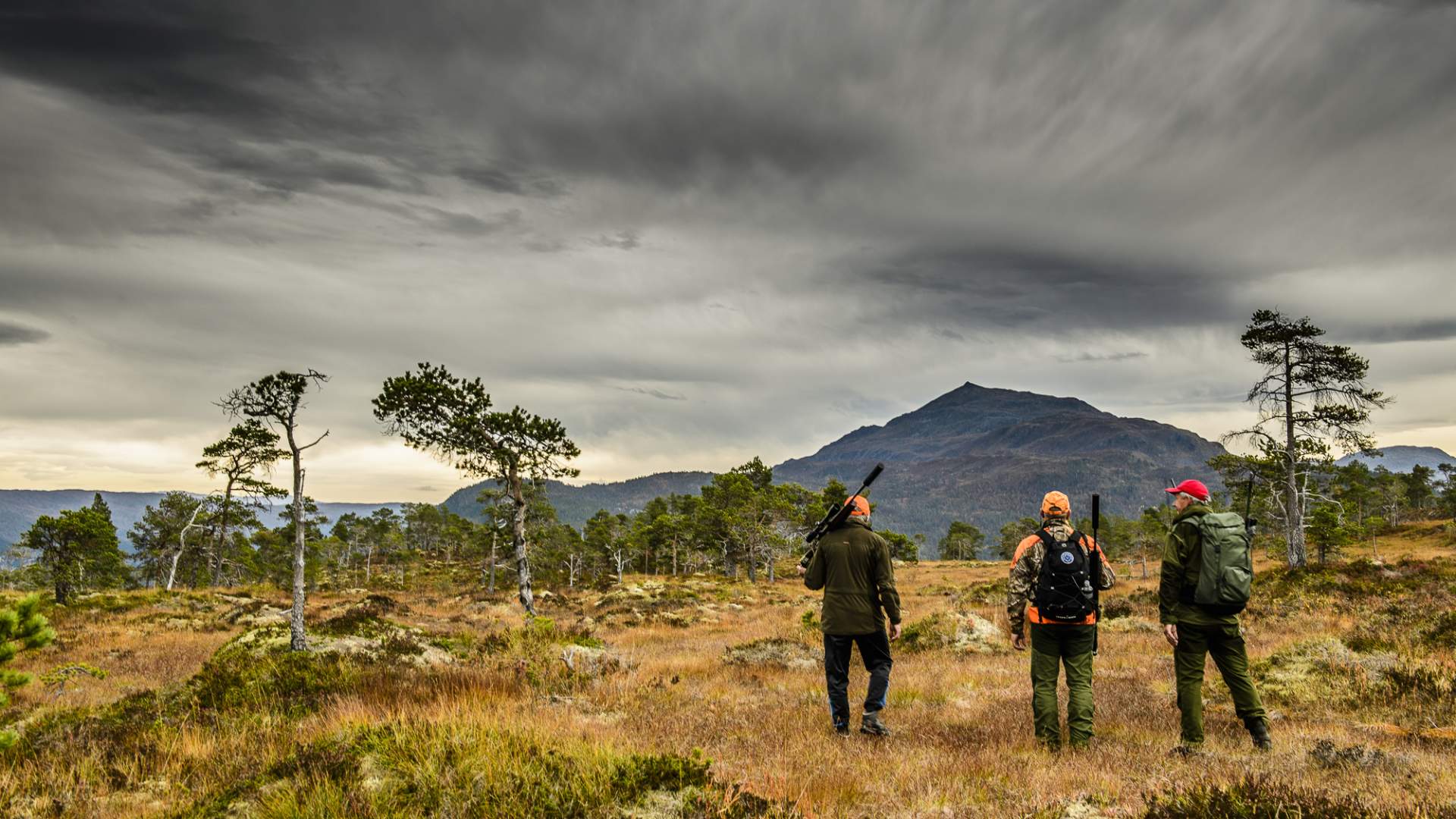 Trollheimen mountain area