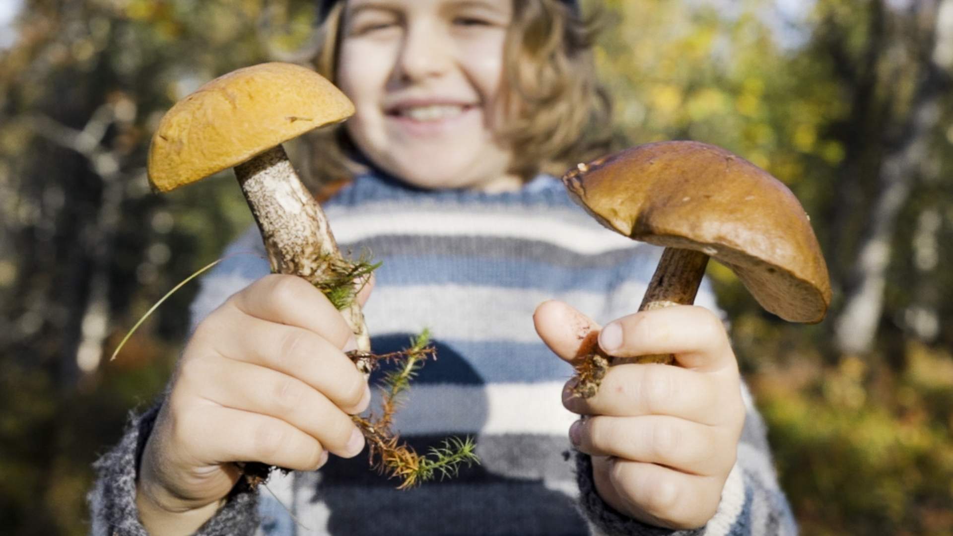 Trollheimen mountain area