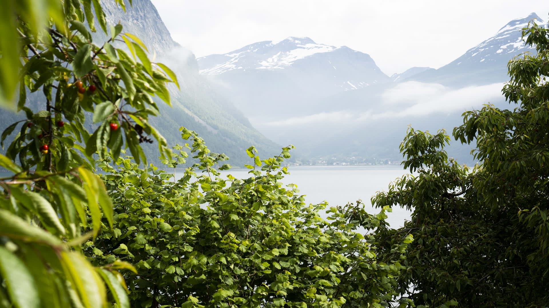 Guidet elsykkeltur med lokale smaker over Trollstigen