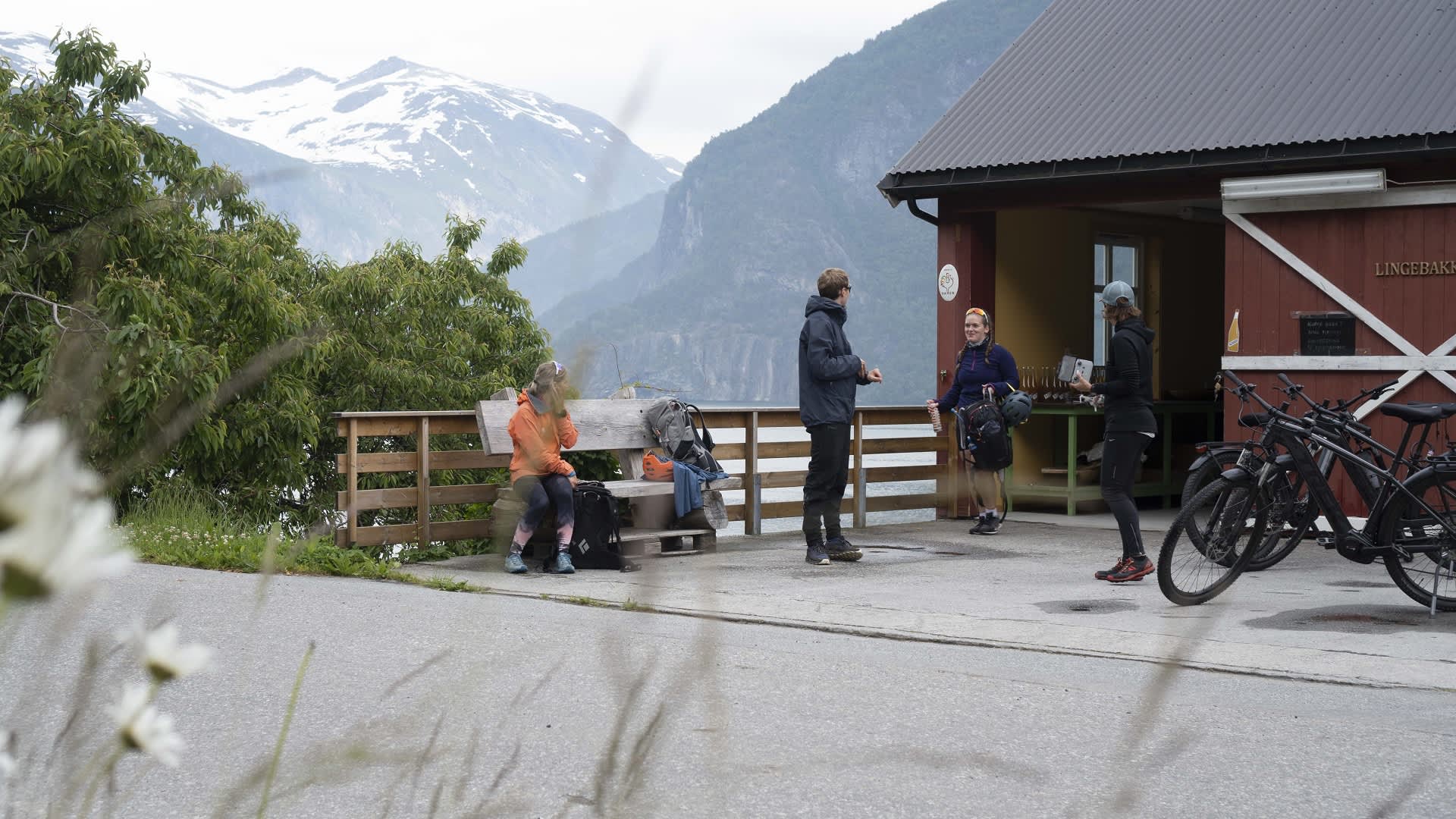 Fahrradverleih bei Uteguiden in Valldal
