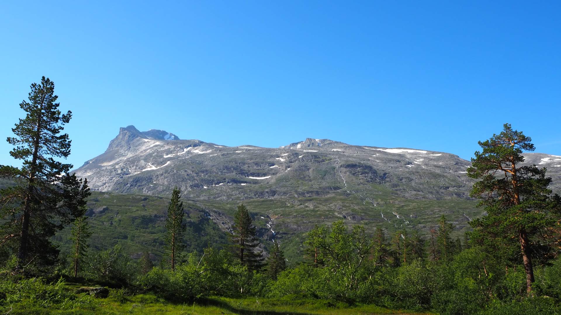 Svartegga sett frå Reindalen.
