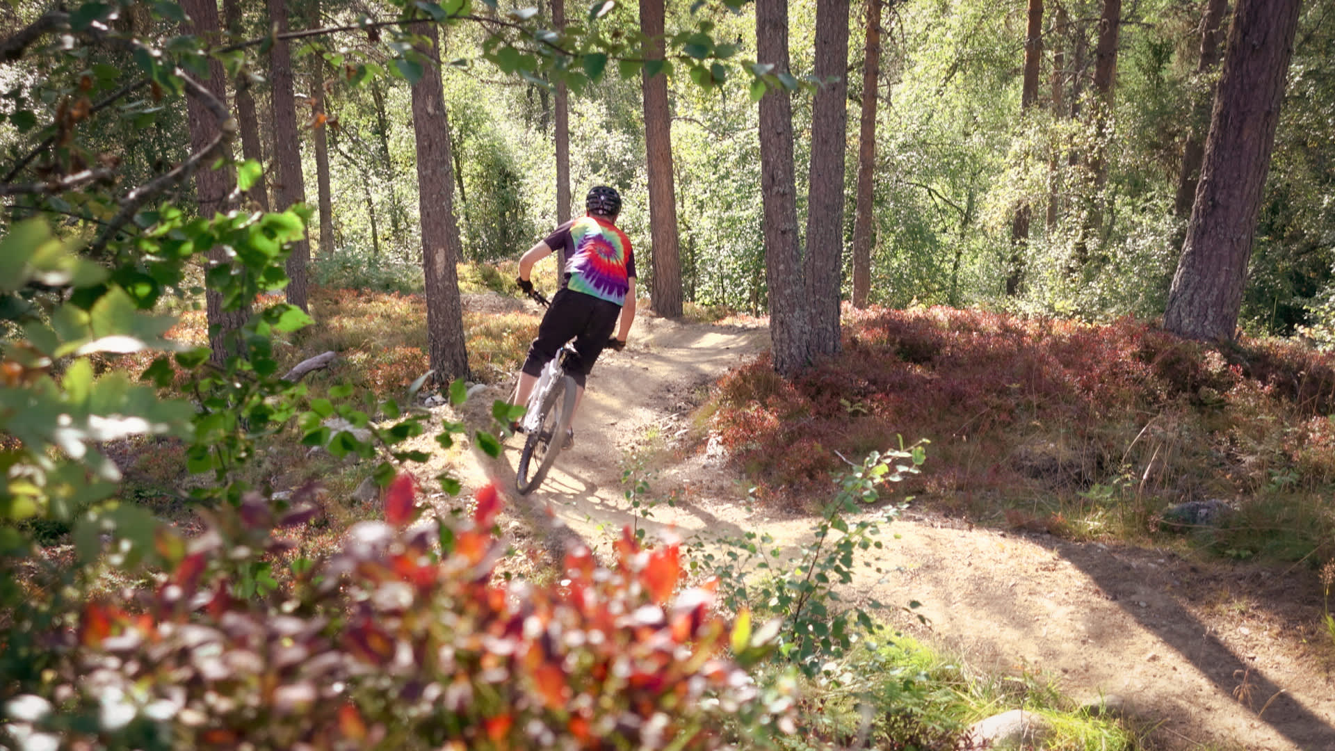 Mountain bike Sogn Skisenter