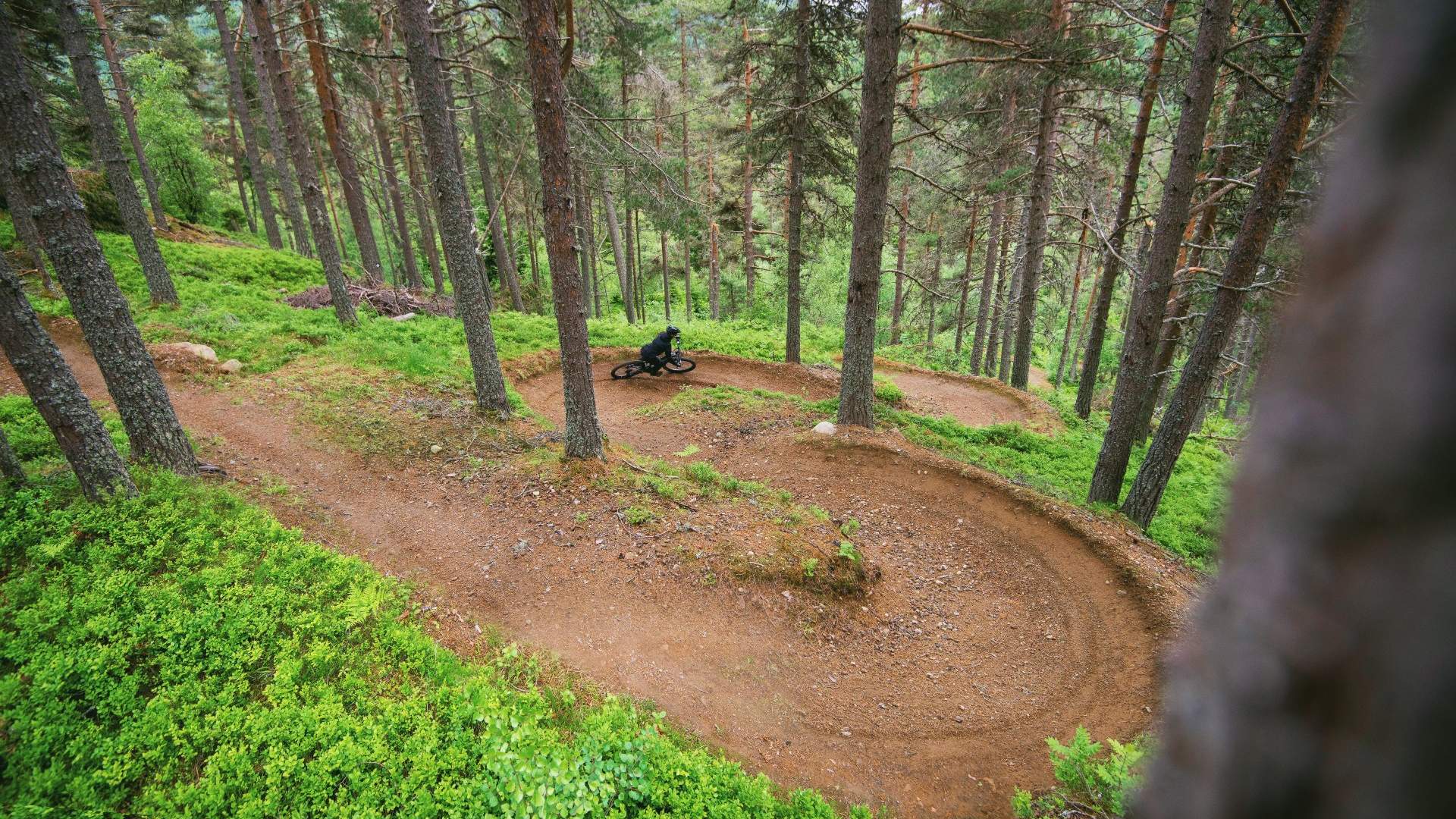 Mountain bike Sogn Skisenter