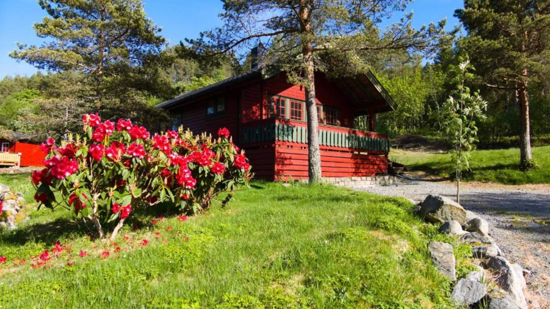 Sjøholt Camping | Camping | Ørskog | Norway