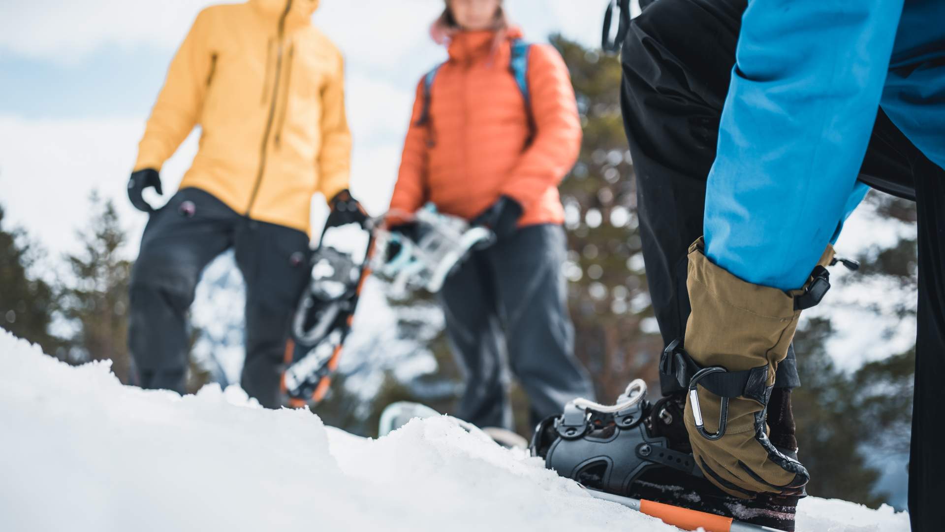 Trugetur i Sunnmørsalpane