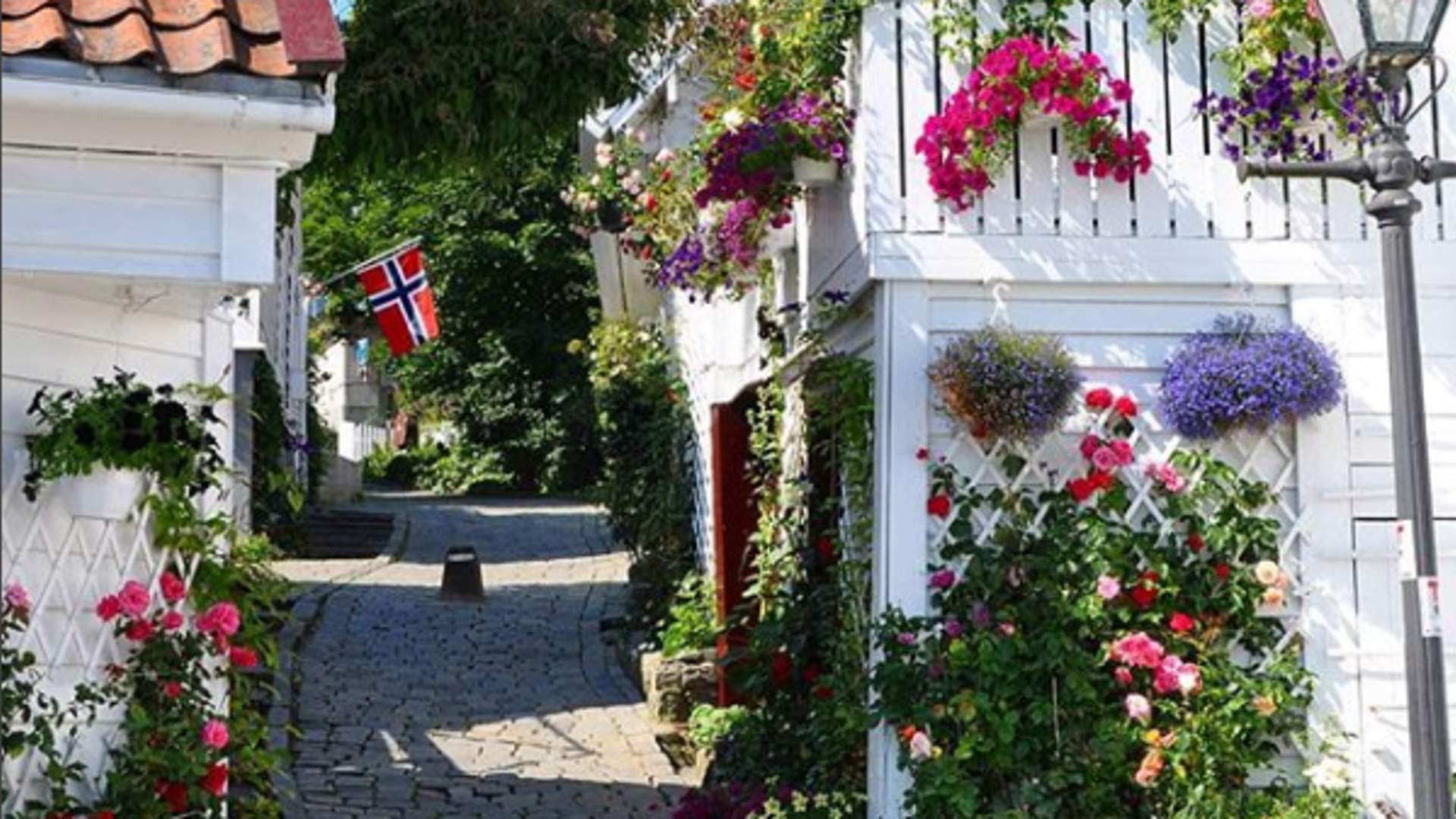 Fargerike gater i Gamle Stavanger