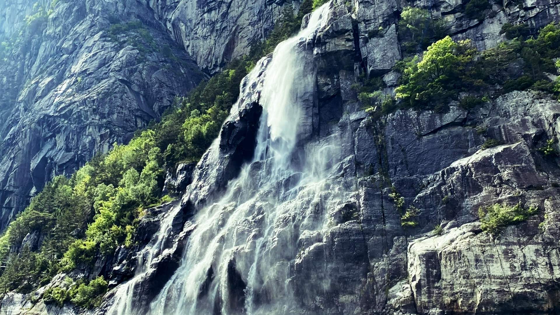Sightseeing with Stavanger RIB in the Lysefjorden