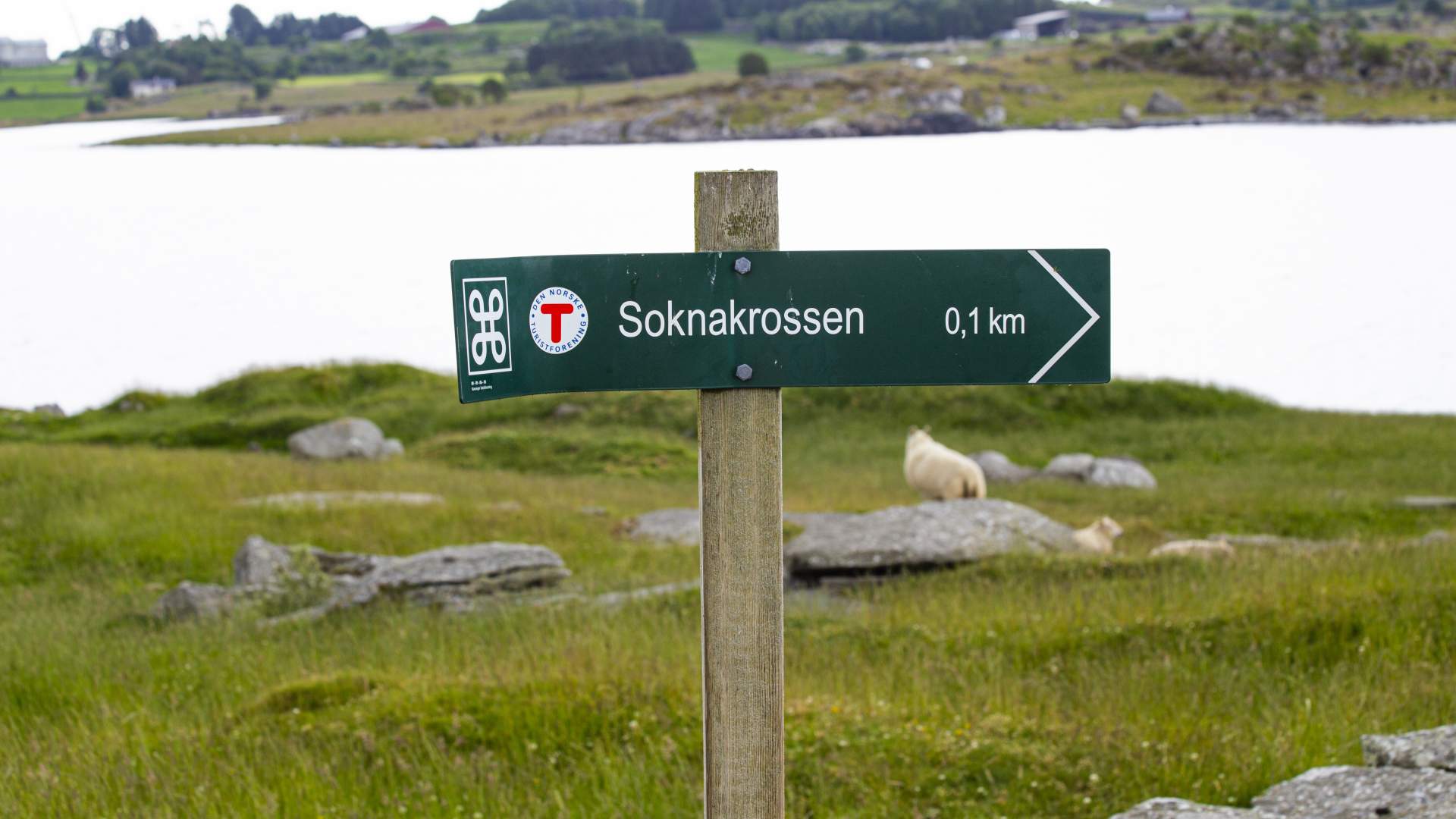 Soknakrossen