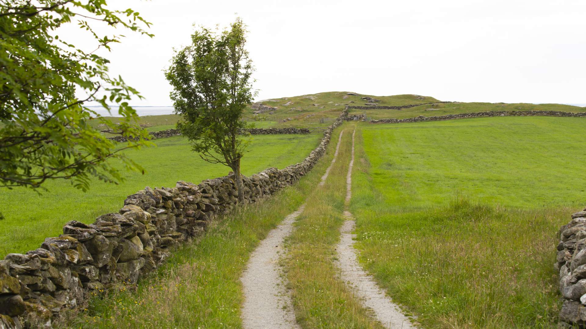 Traktorvei til Soknakrossen