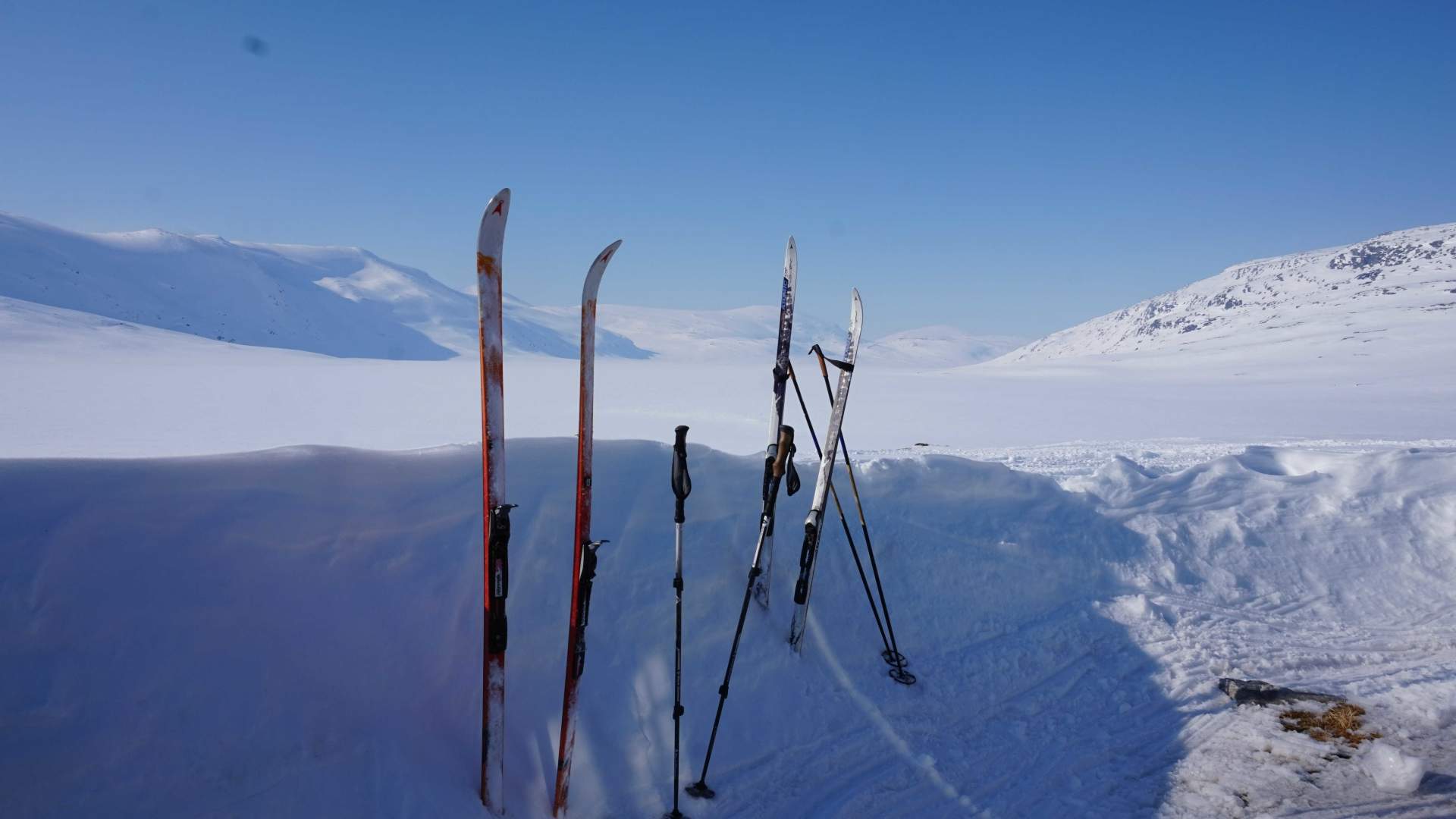 Reinheimen i Tafjordfjella