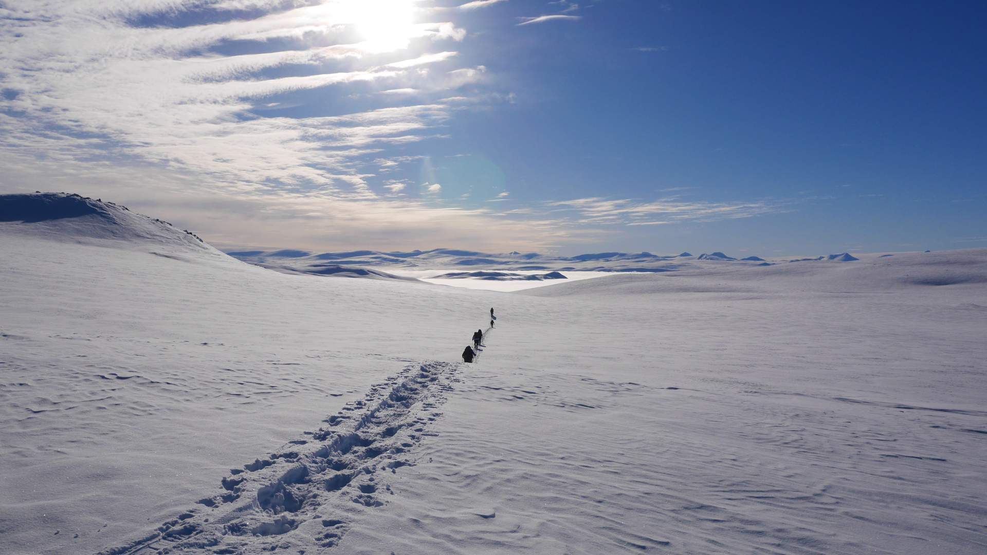 Reinheimen i Tafjordfjella