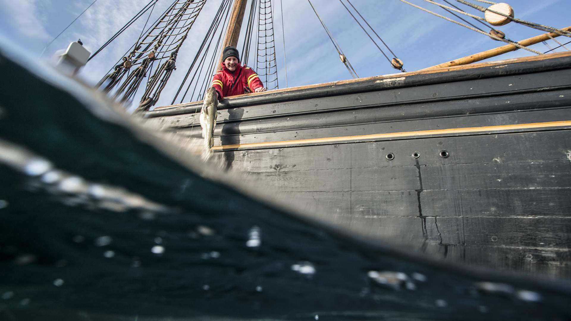 Winter cod fishing in Ålesund