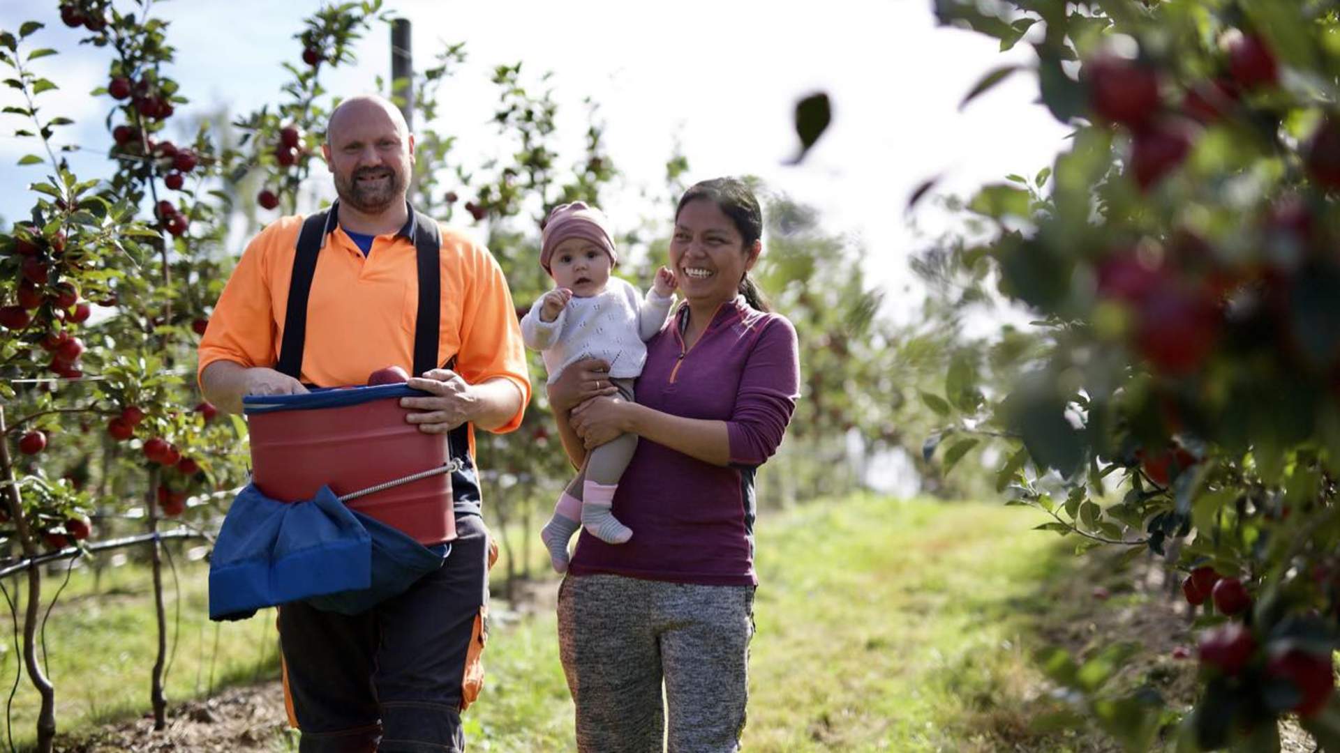 Farm shop at Fuglestein Fruktgard in Suldal