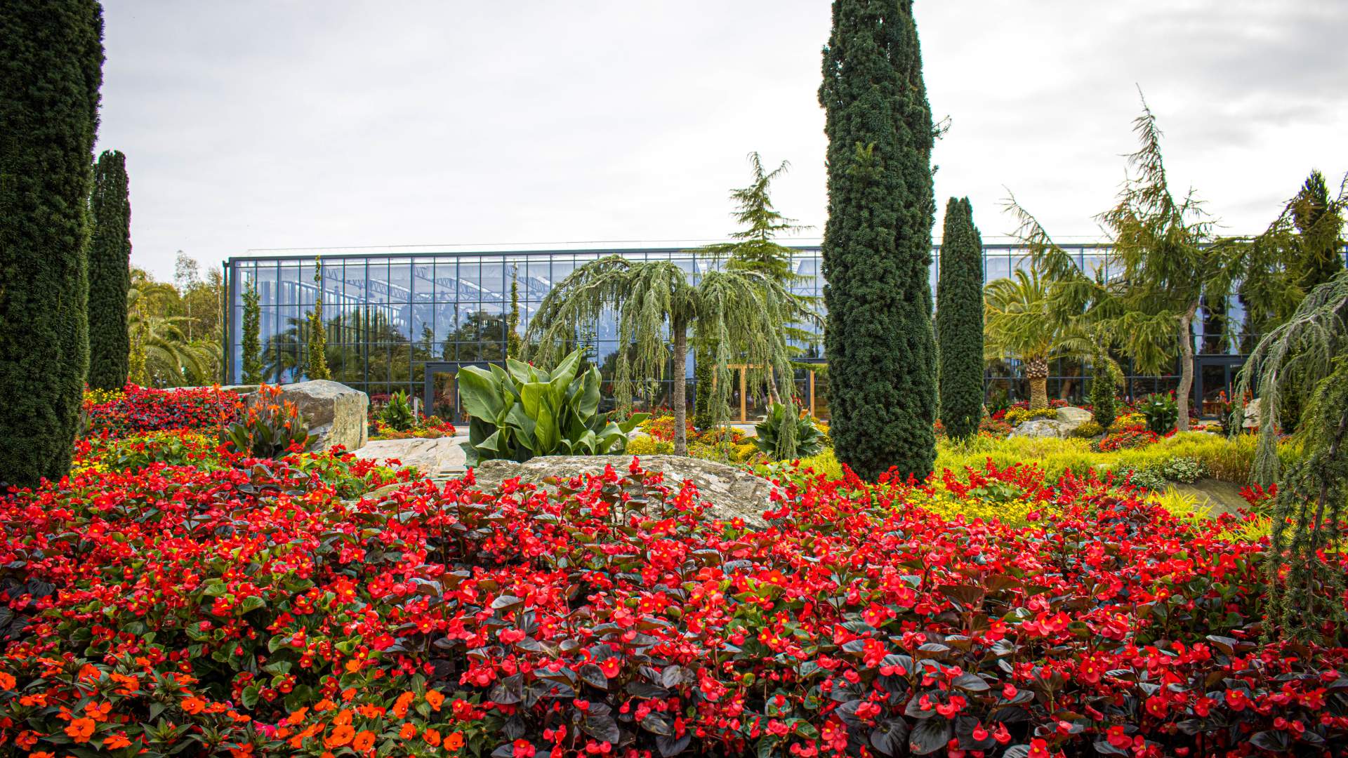 Spis godt i palmesus på Flor & Fjære