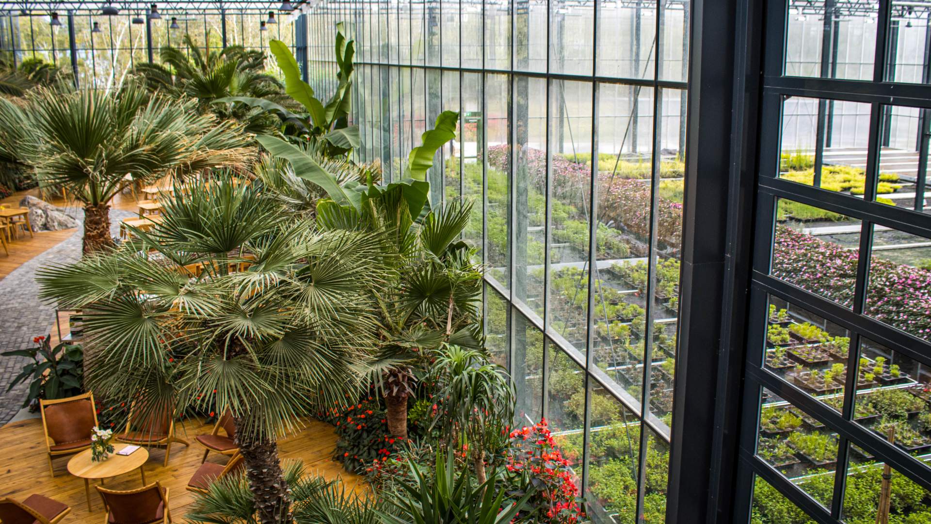 Spis godt i palmesus på Flor & Fjære