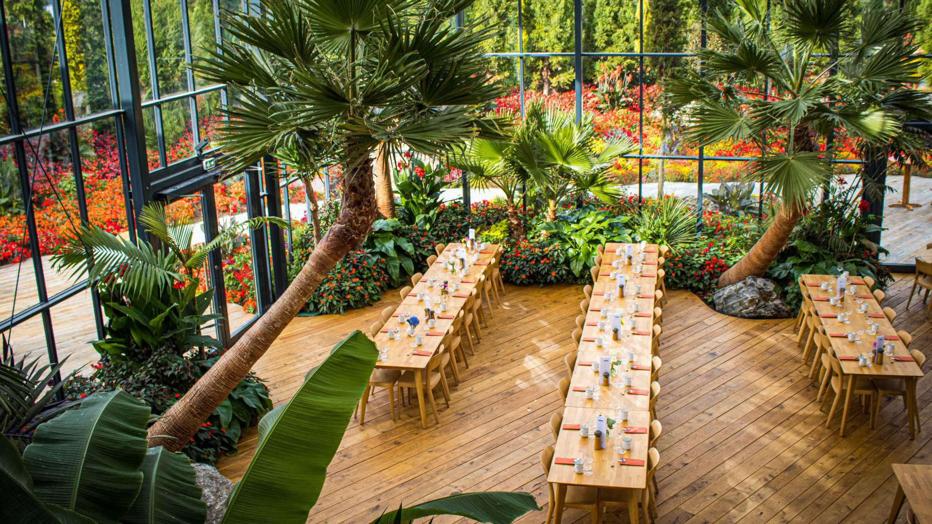 Spis godt i palmesus på Flor & Fjære