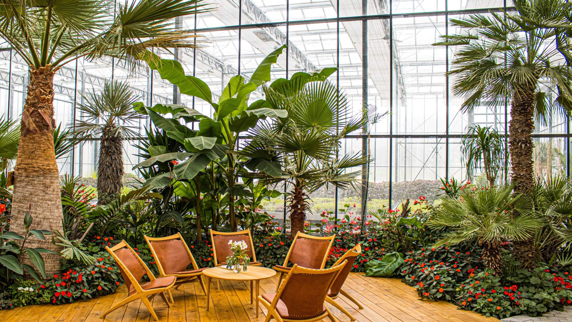 Spis godt i palmesus på Flor & Fjære