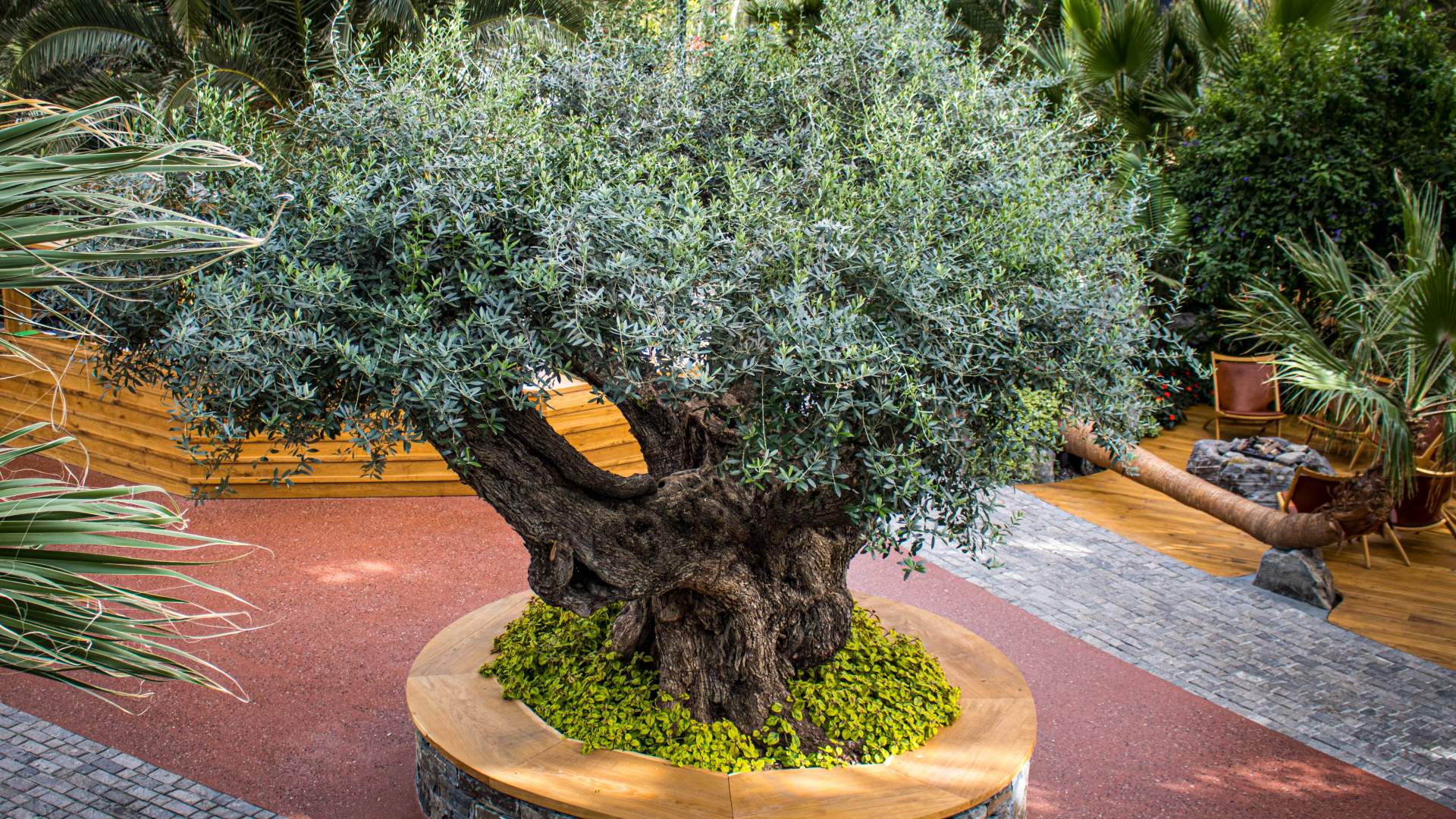 Spis godt i palmesus på Flor & Fjære