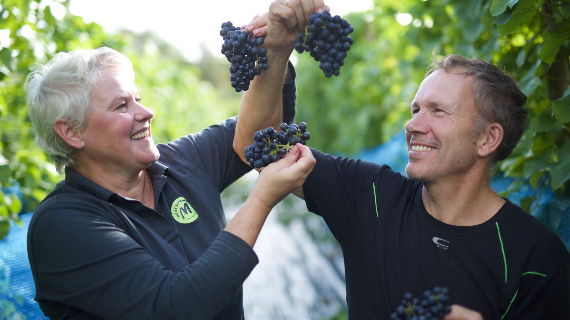 Weinverkostung und Hofladen im Hebnes vingard in Ryfylke