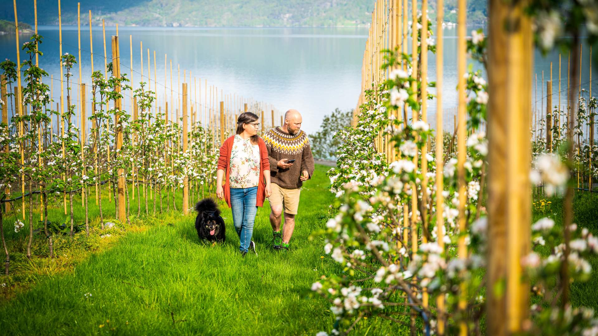 Kleppa Gard und Glamping in Hjelmeland