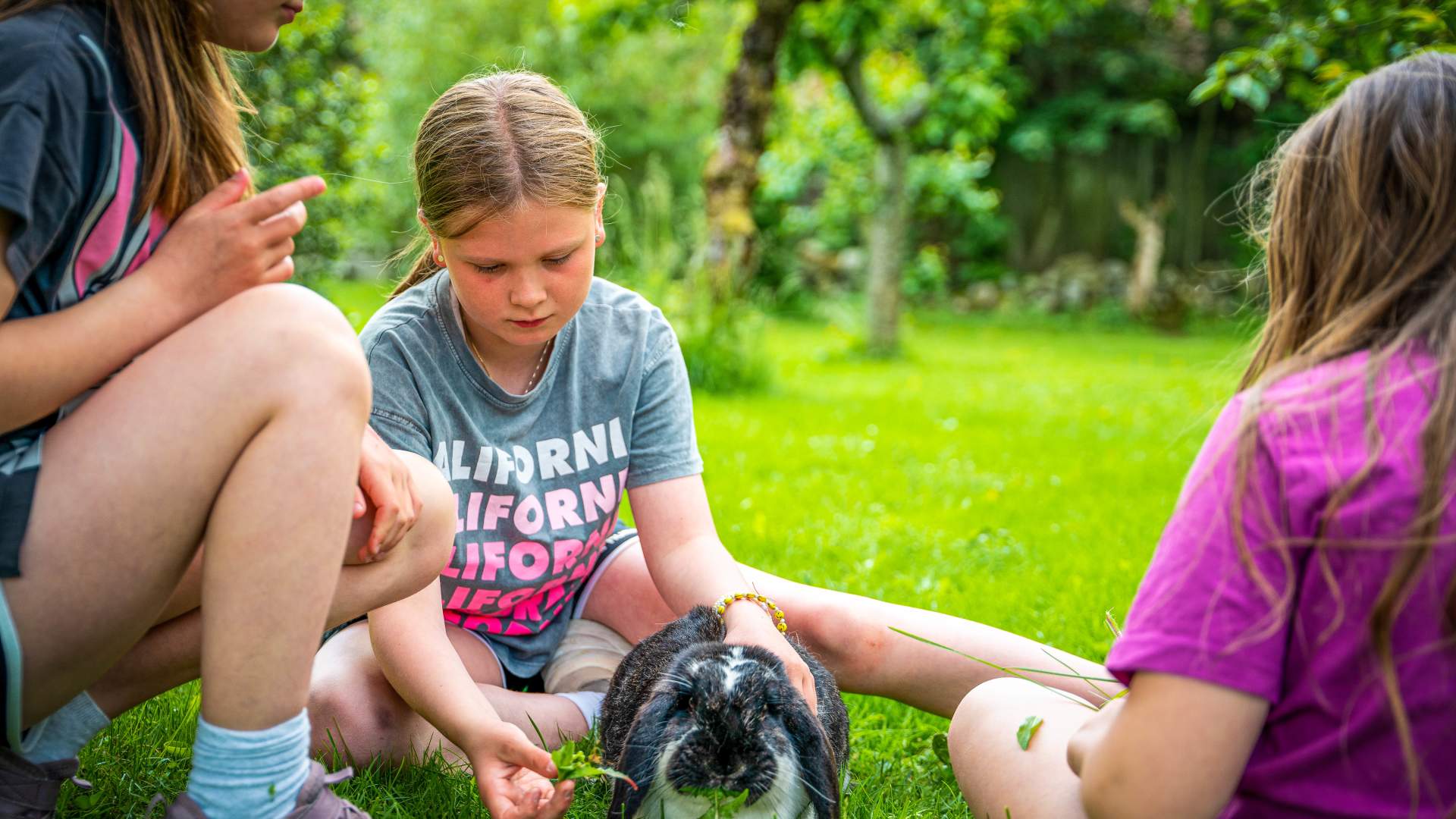 Overnatting på Gøysa Gard ved Lysefjorden