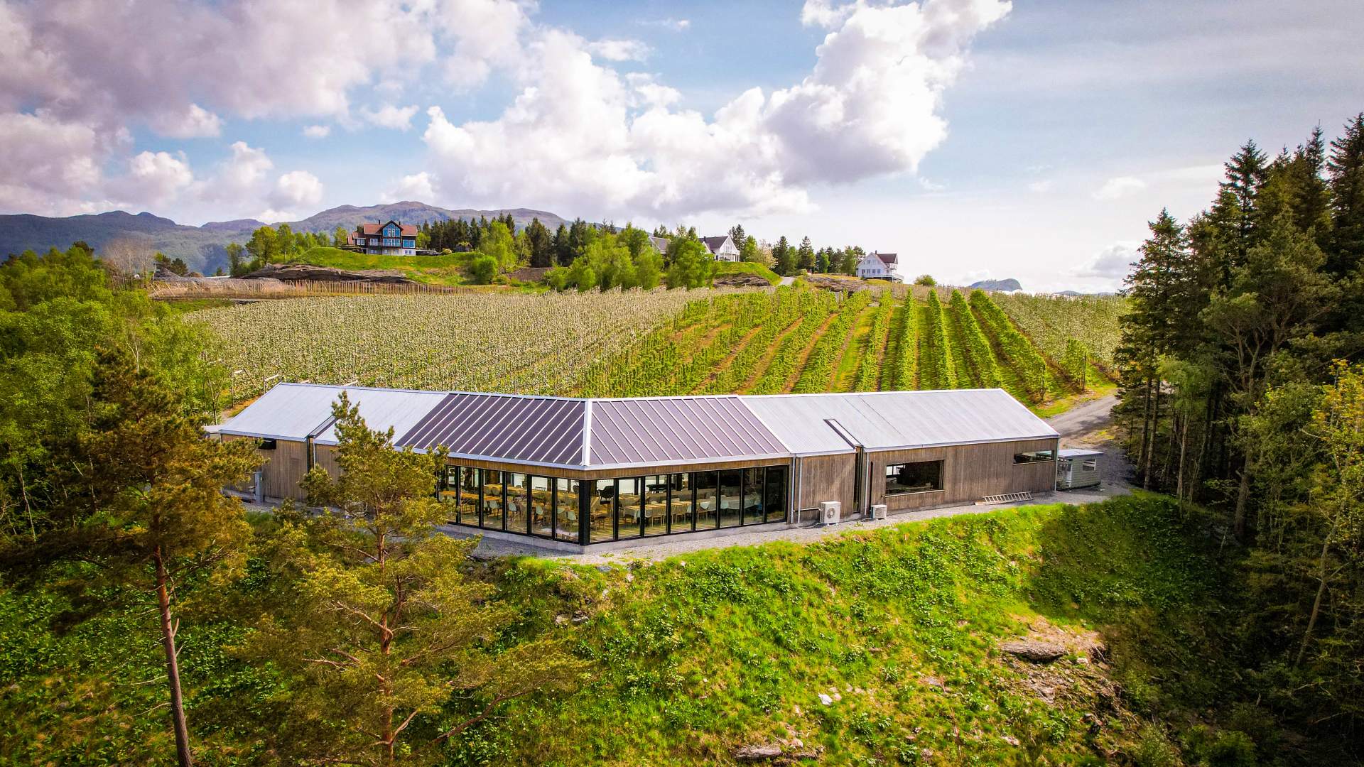 Epleriet på Helgøy i Ryfylke