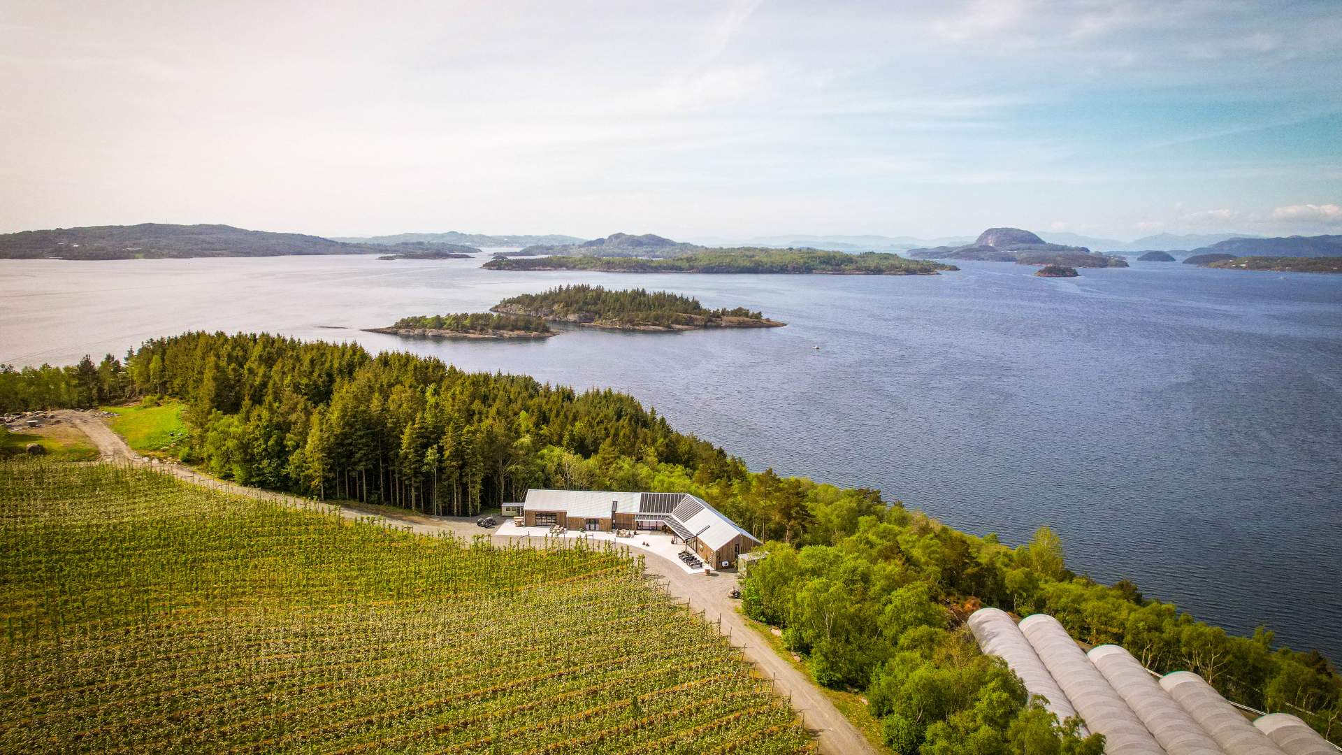 Epleriet på Helgøy i Ryfylke