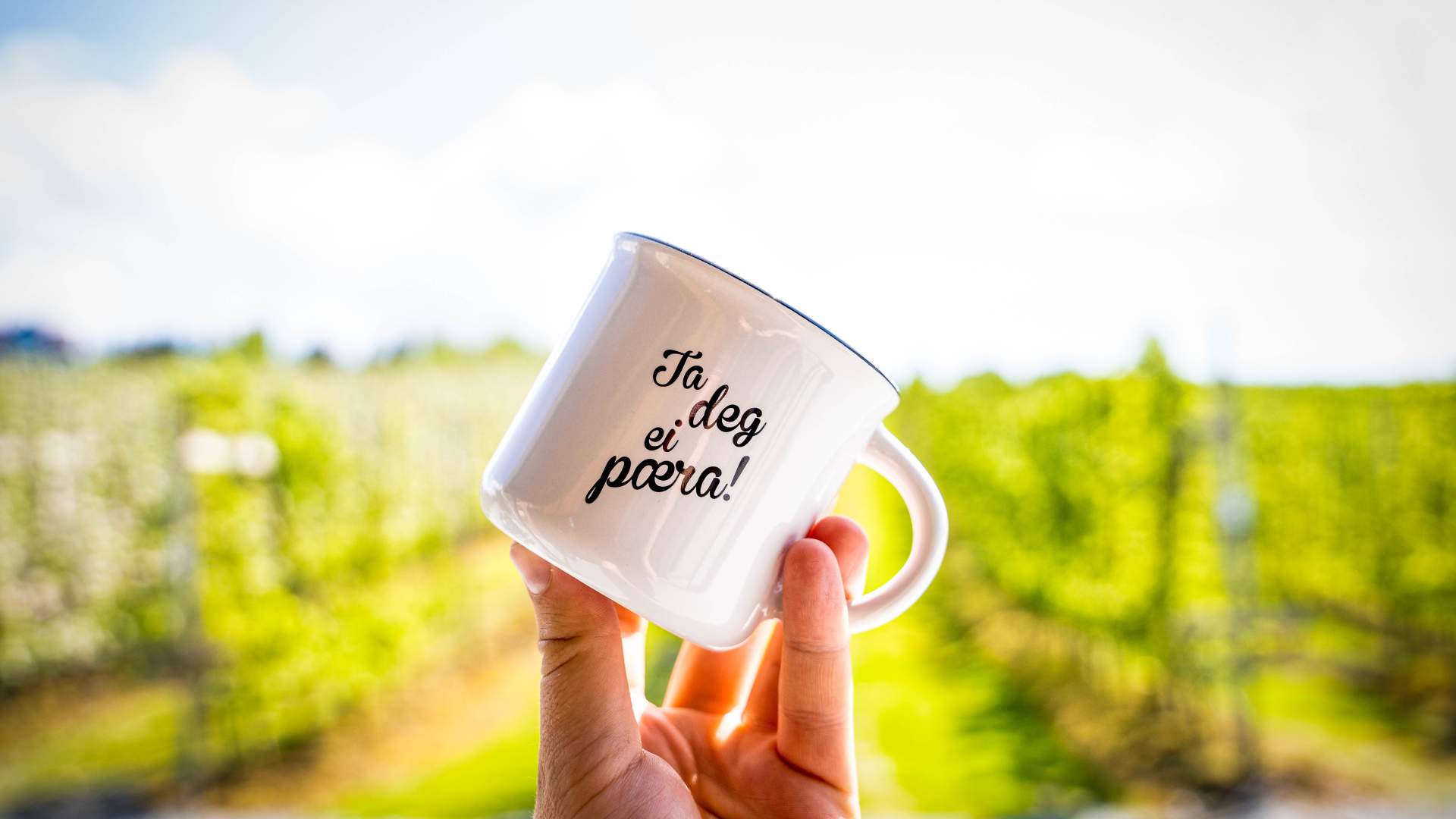 Epleriet på Helgøy i Ryfylke